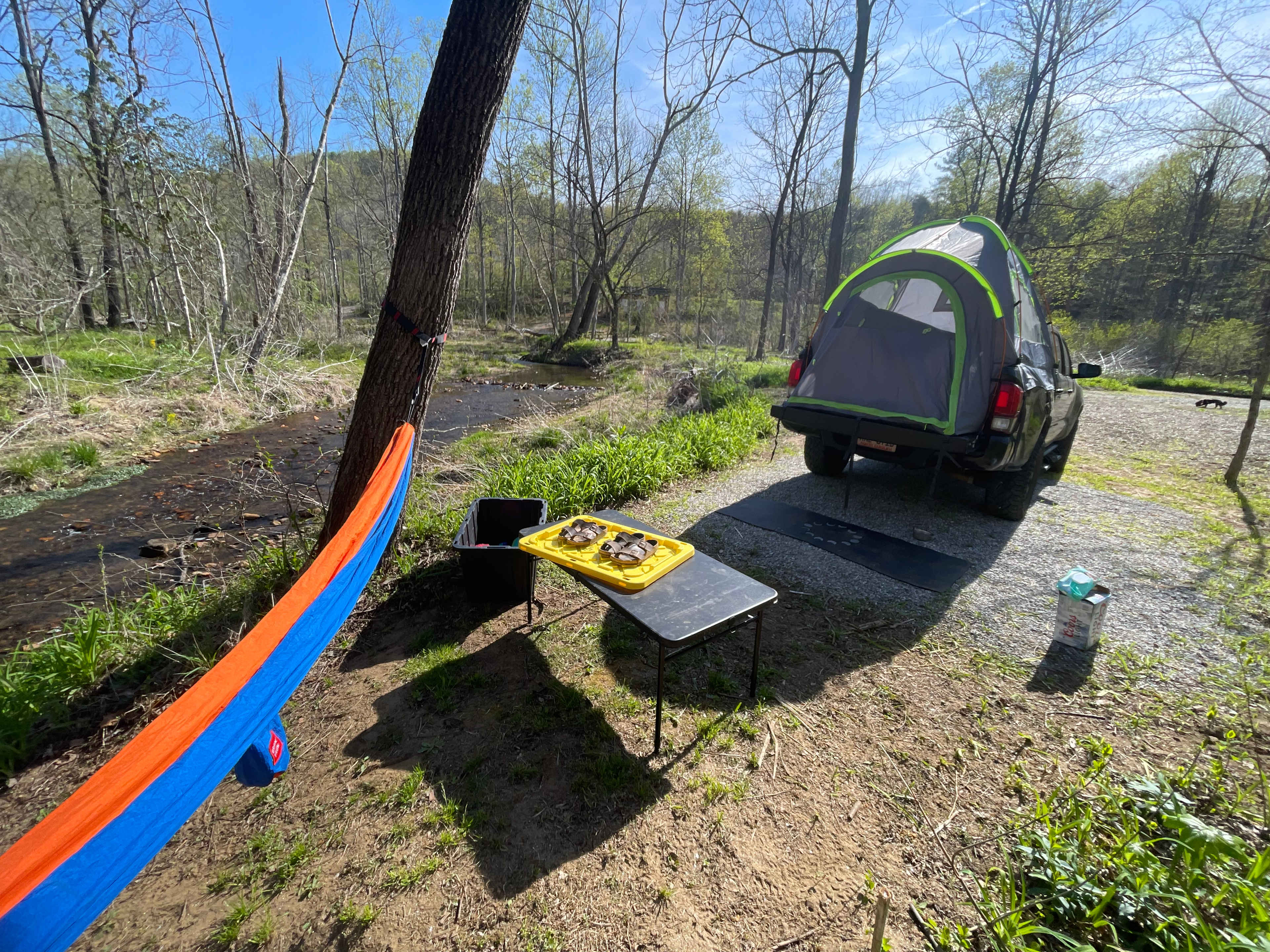 TangleWood Creekside Campsites
