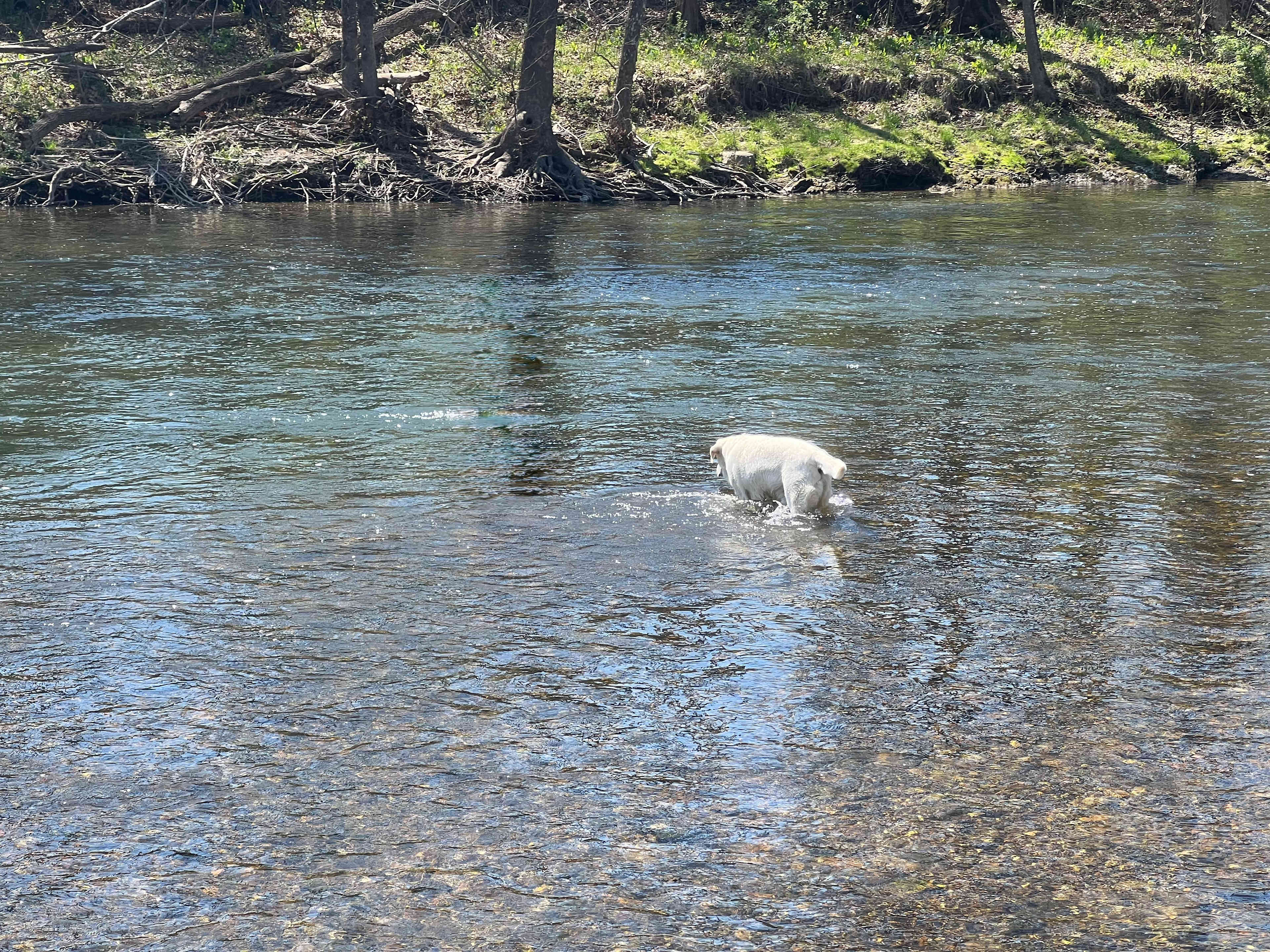 Easily accessible river
