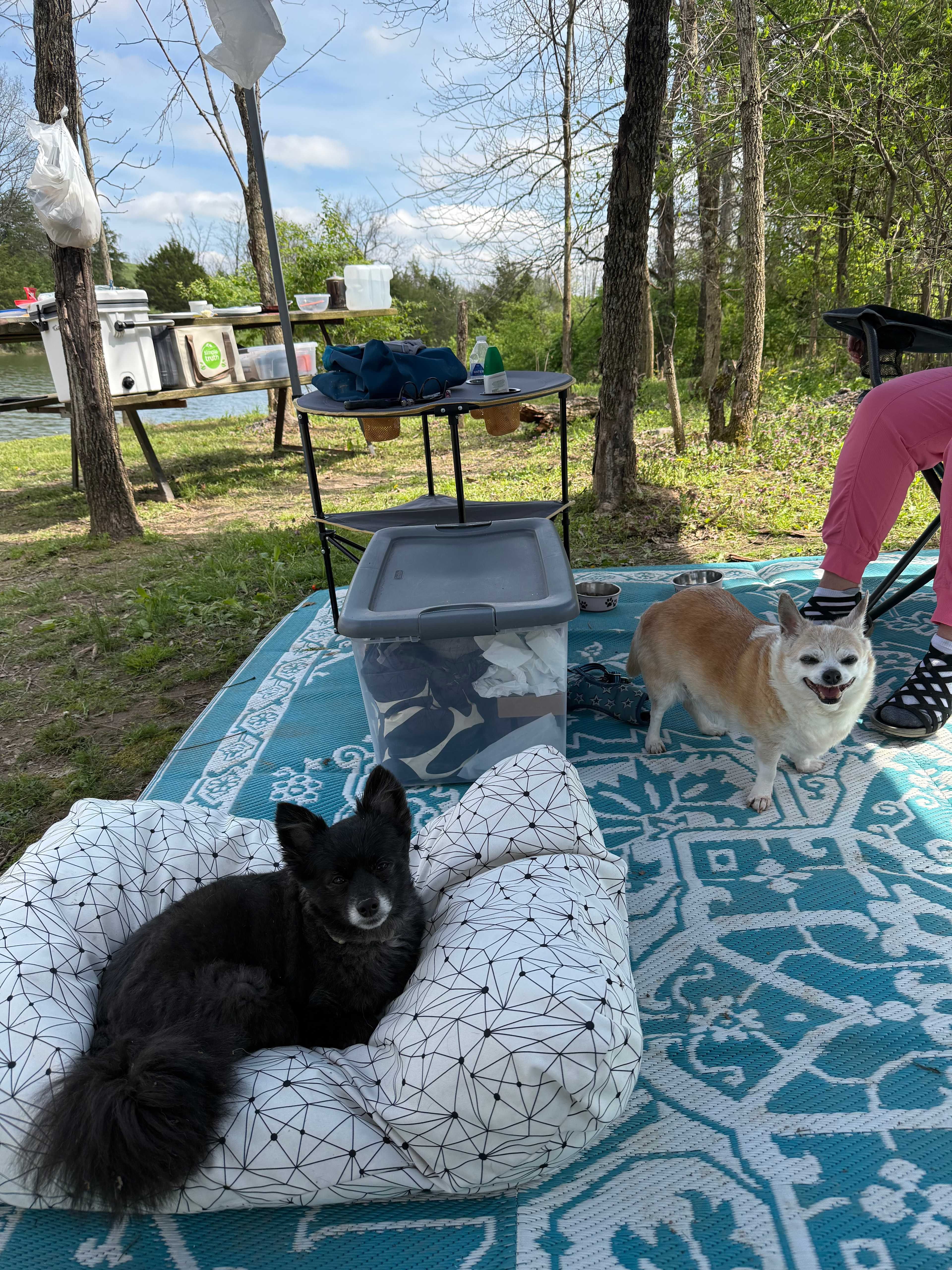 Hidden Lake Farm