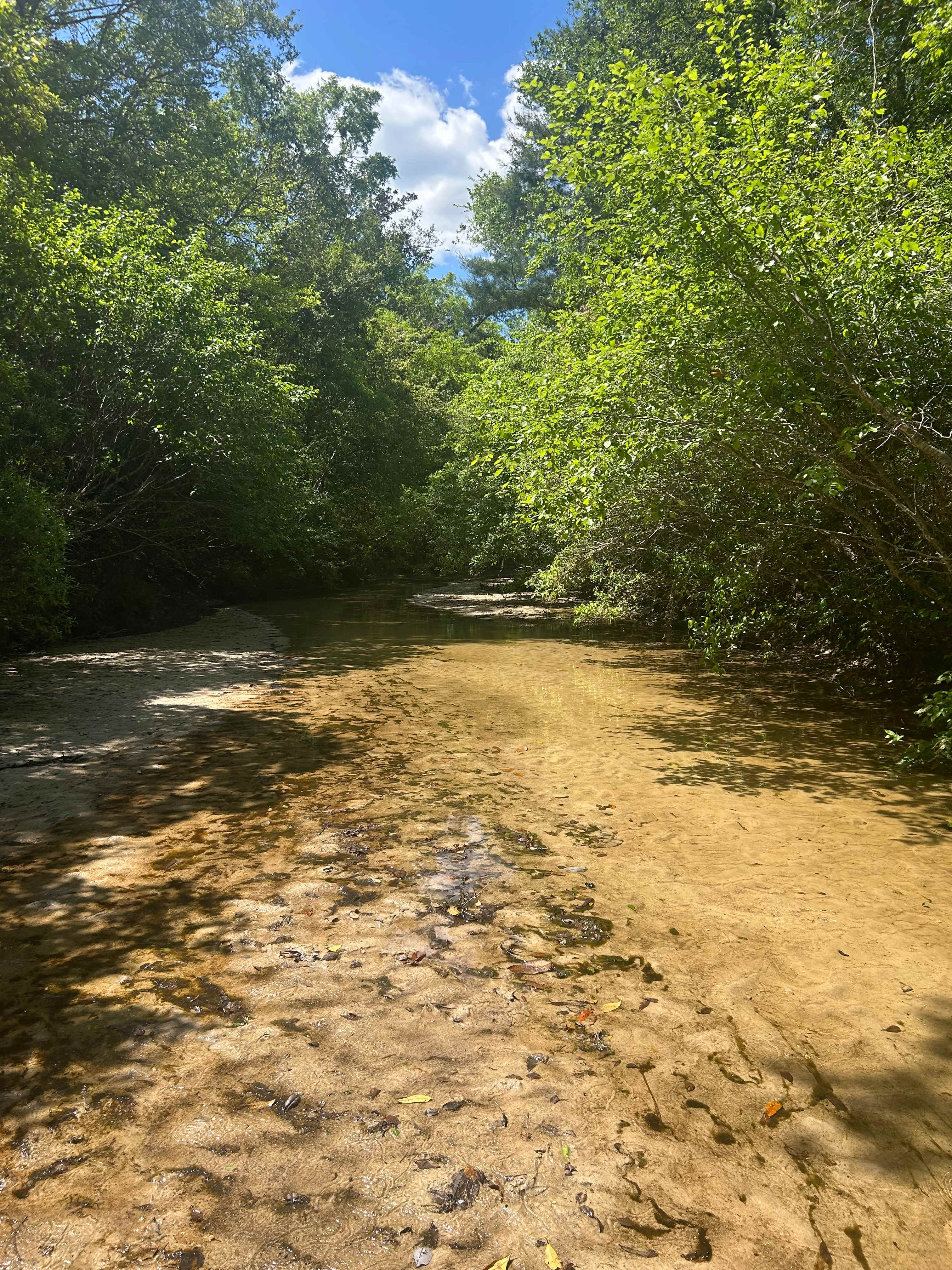 Creekside Farm Co.