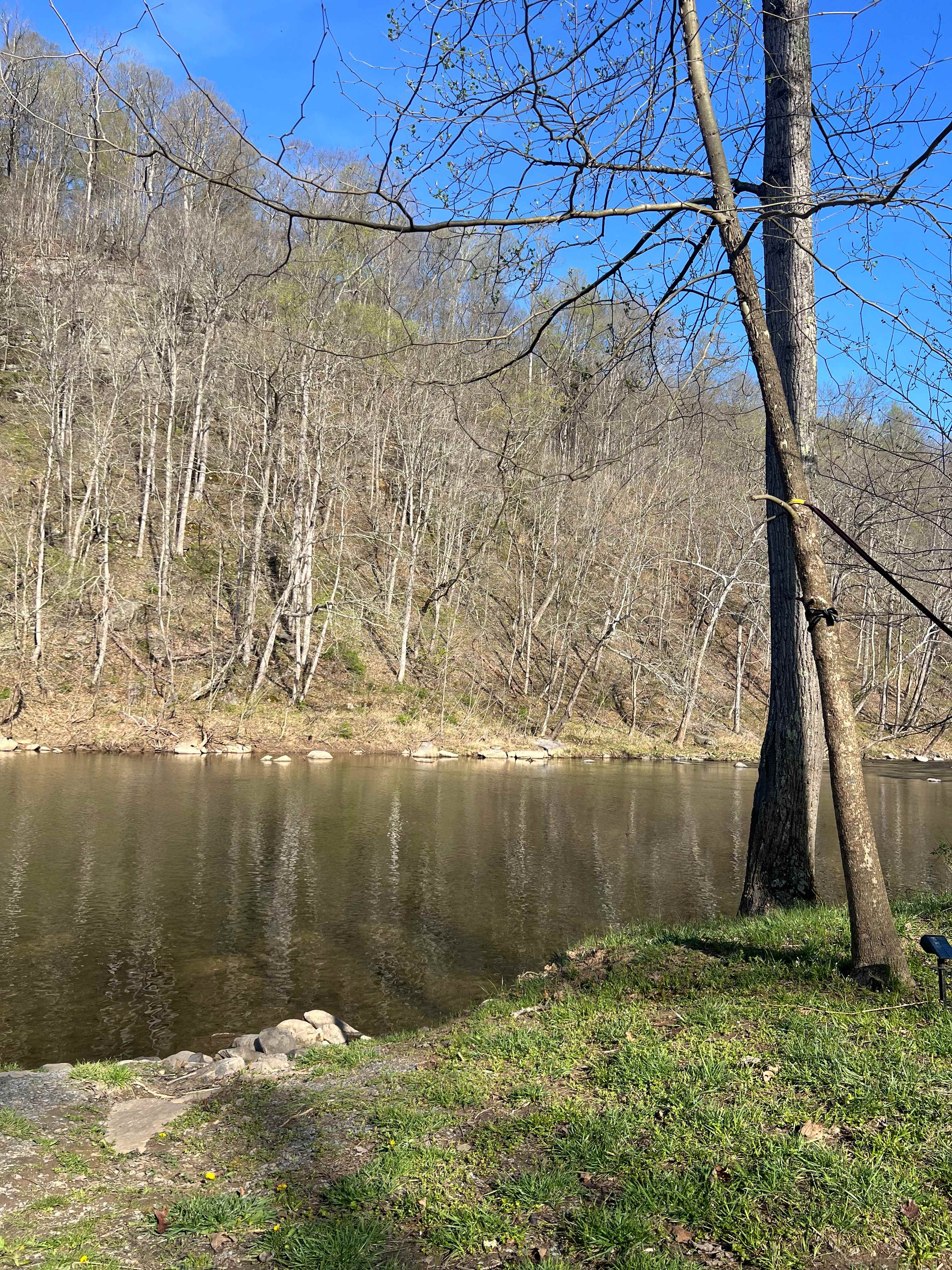 The Byrd's Nest on the River