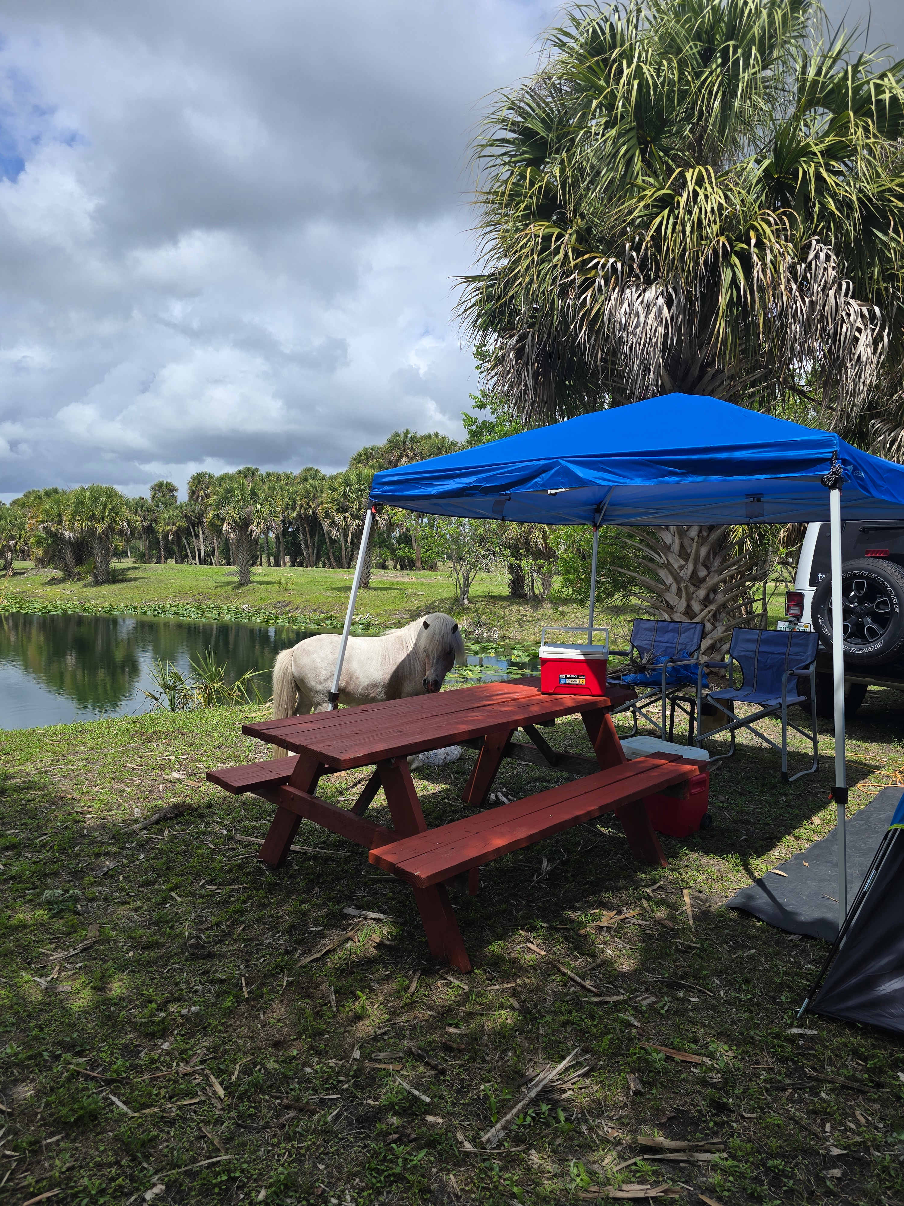 Blue Fox Ranch: Lake & Farm Camp