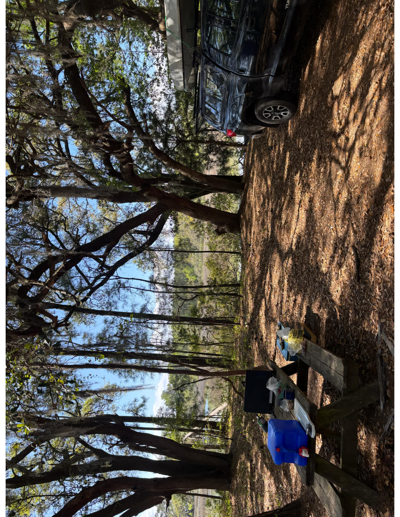 Campsite