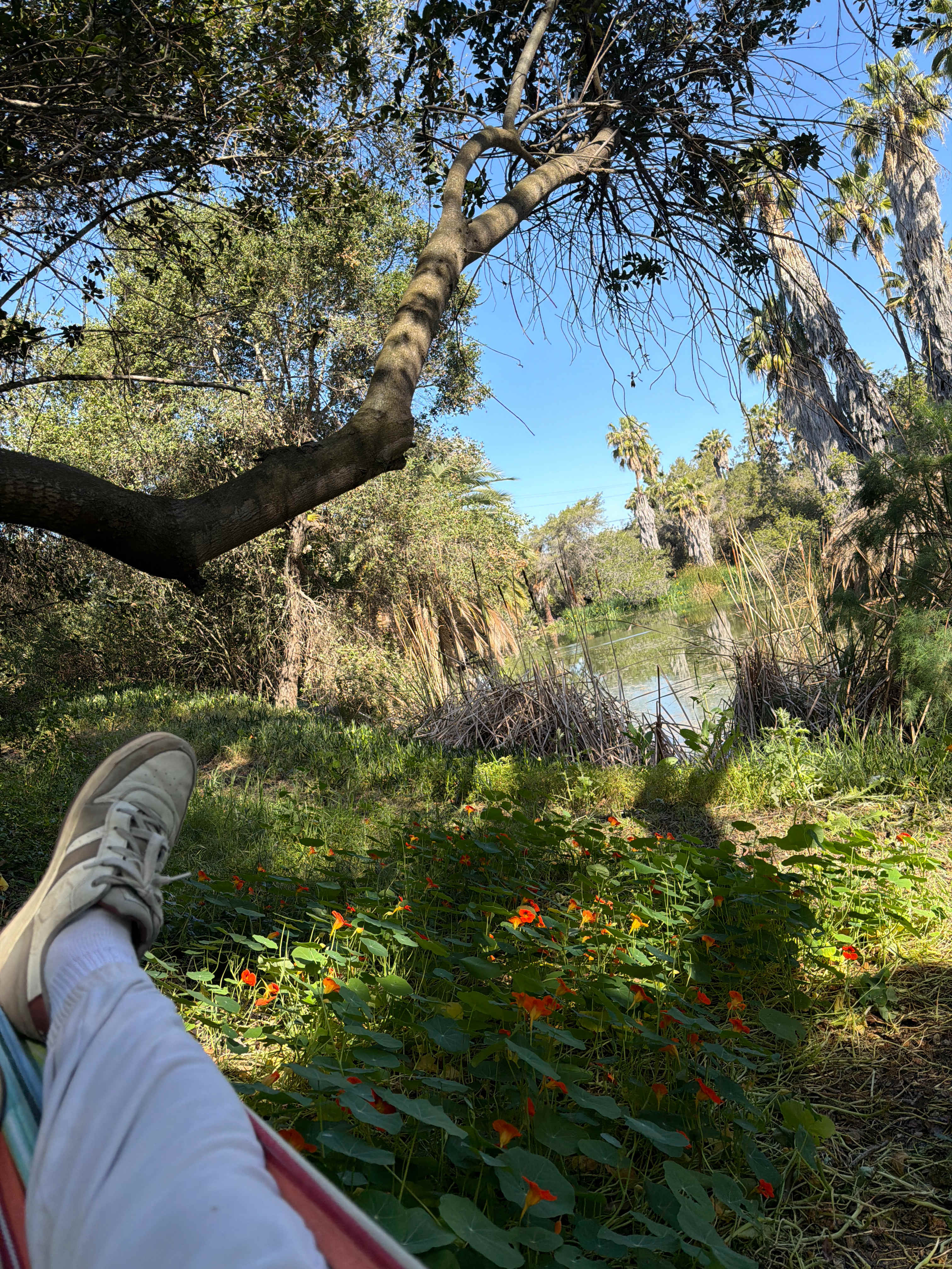 Hidden Waters