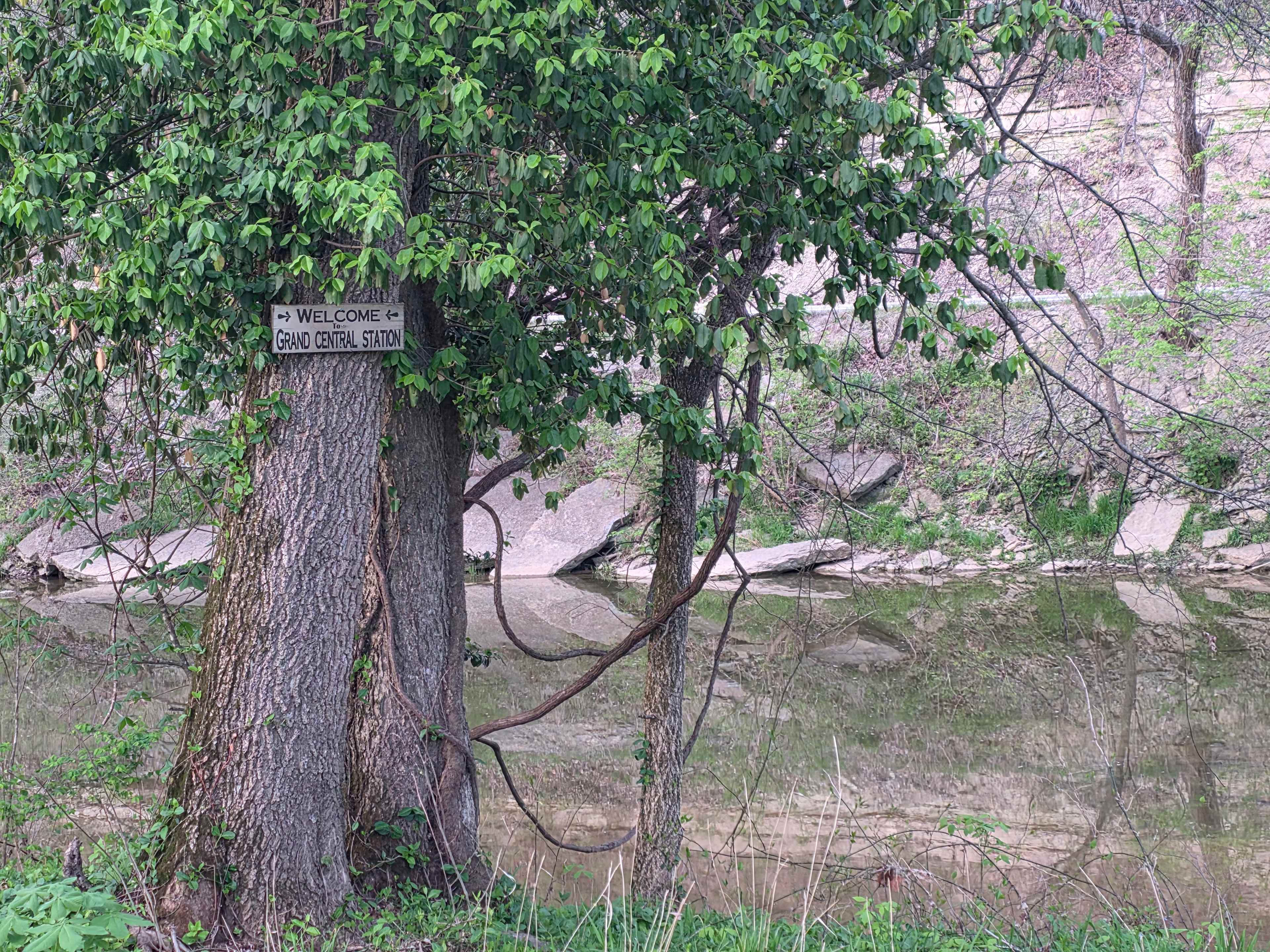 Hones Pointe Campground