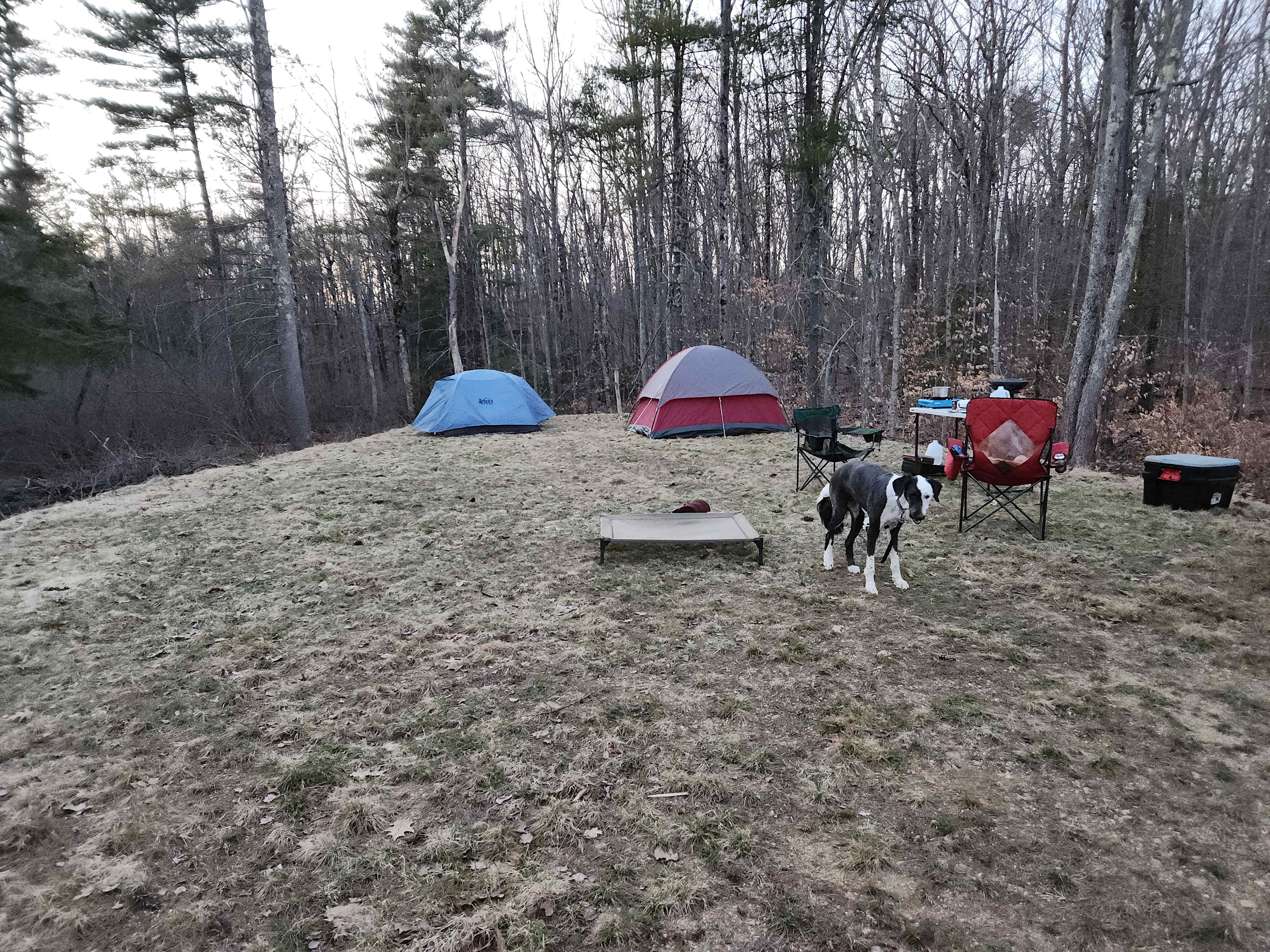 Homestead Farm Retreat