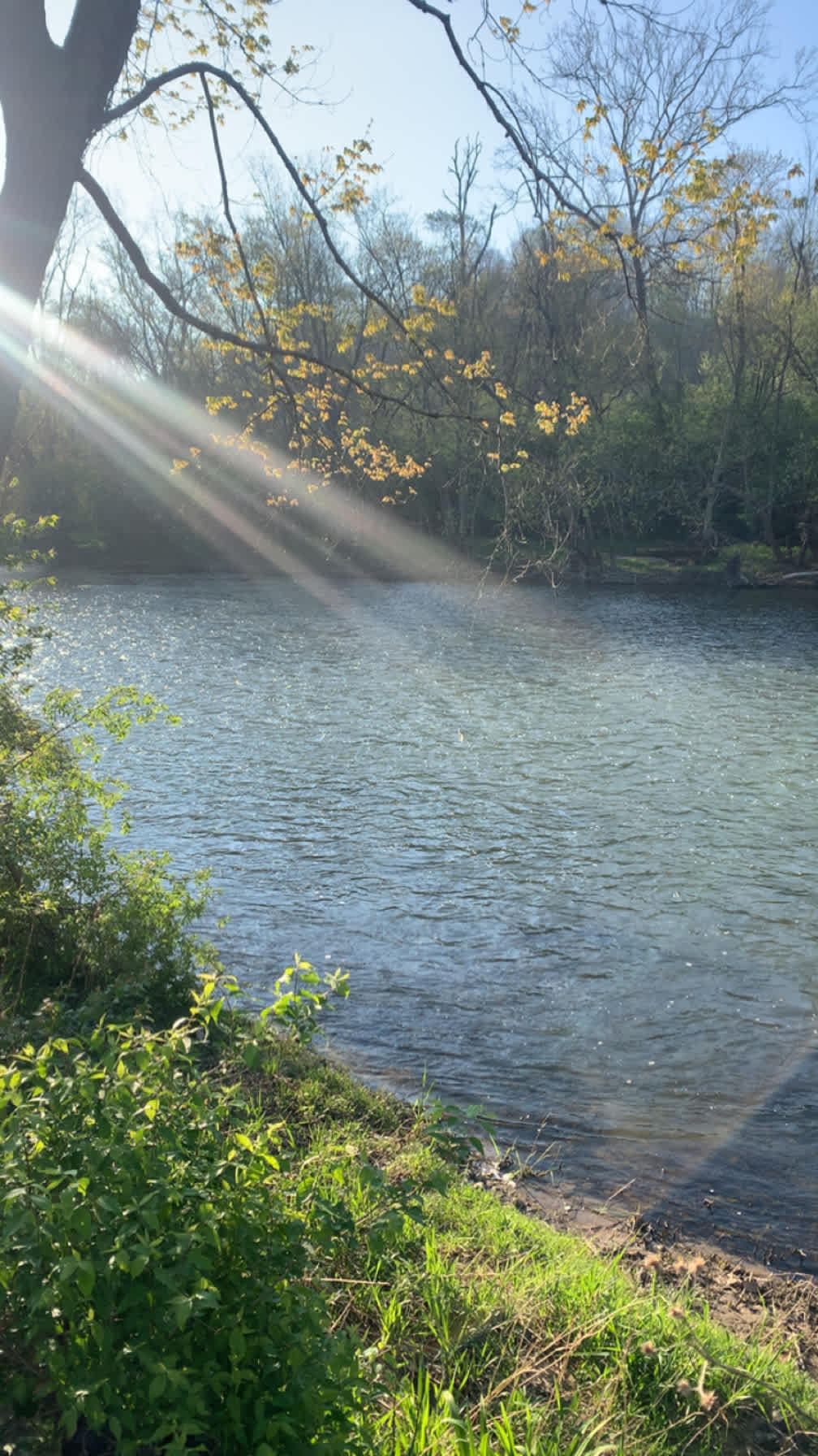 Riverside Adventures