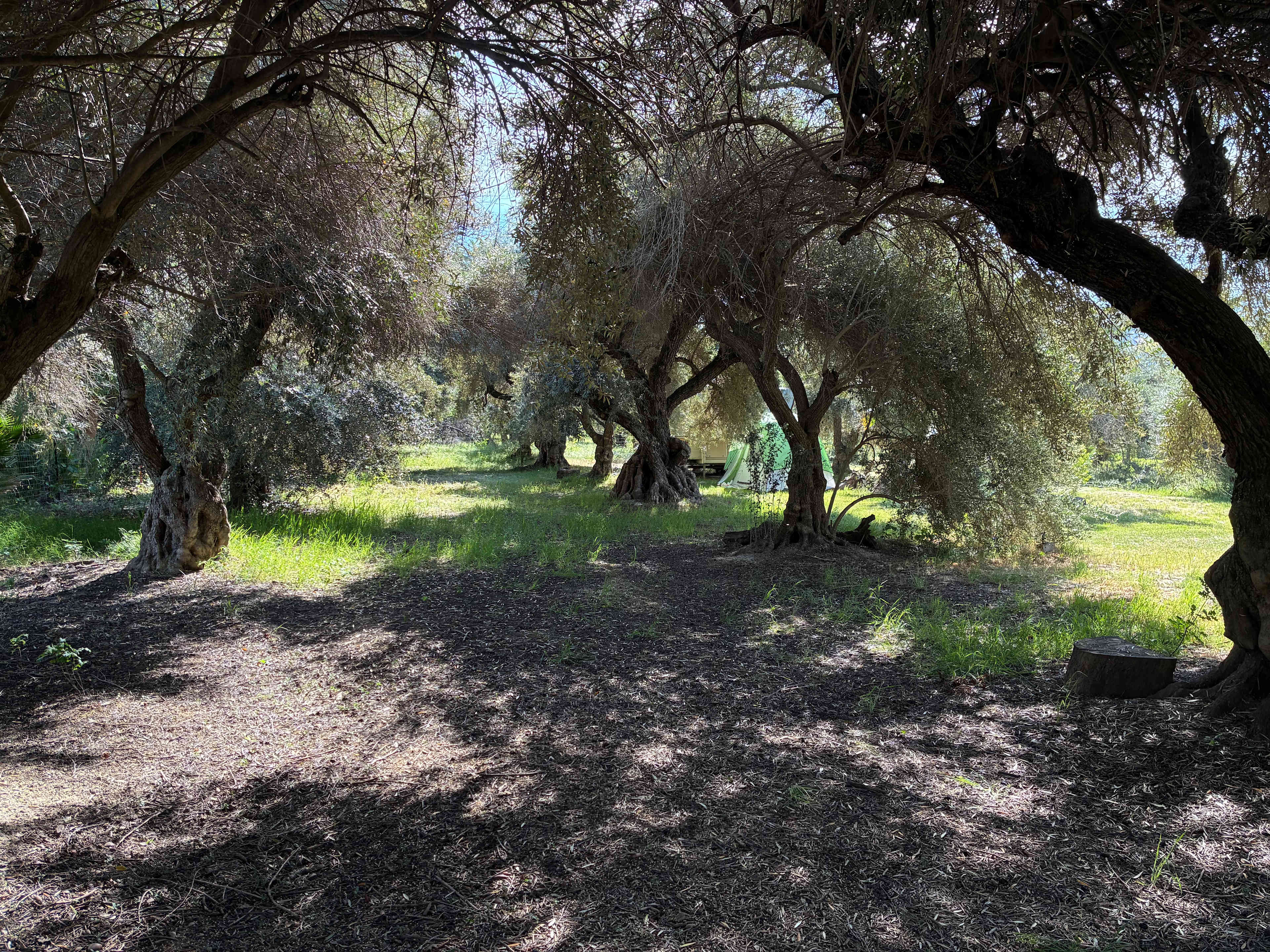 Blue Moon Orchard Retreat