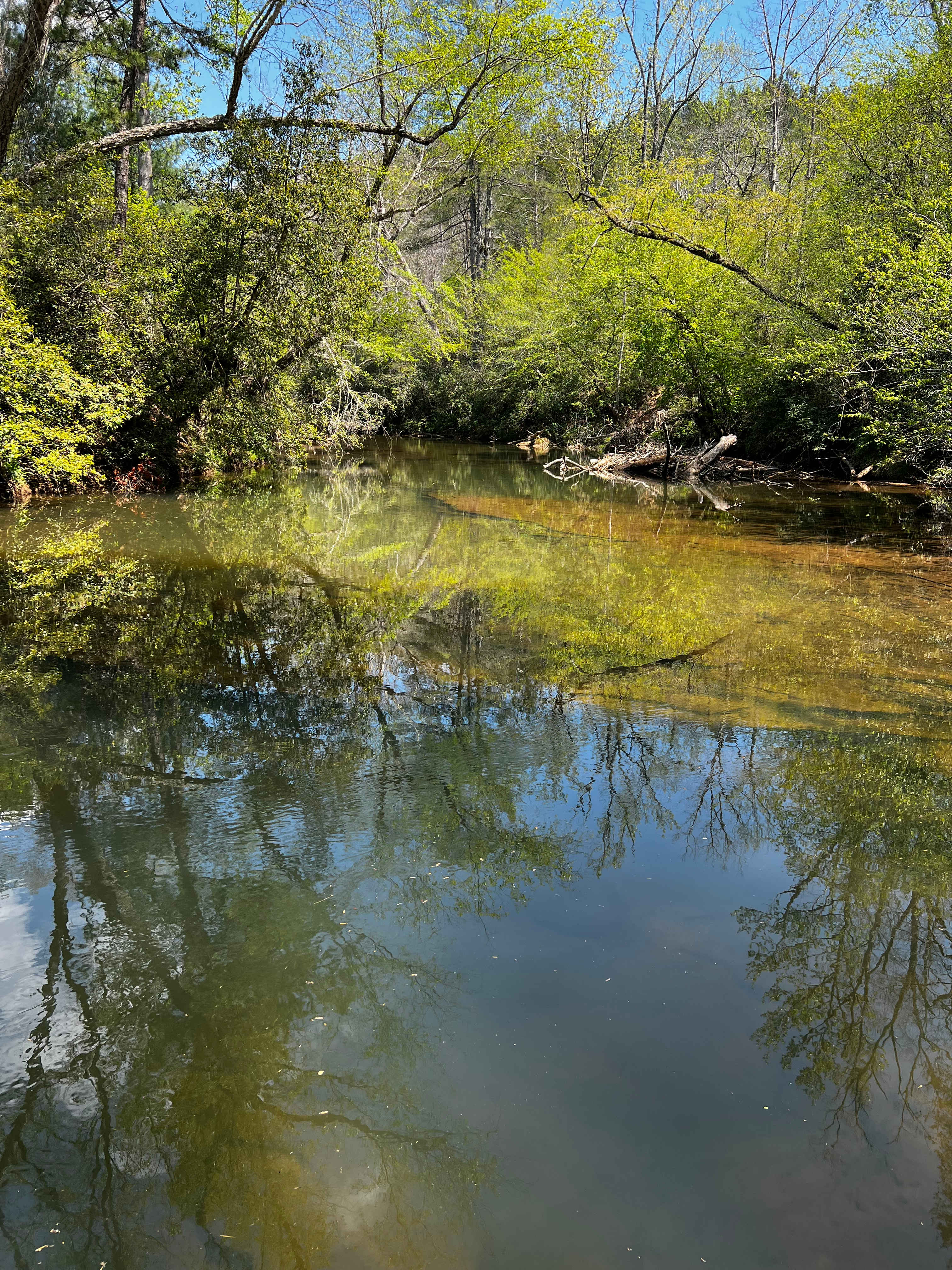 Tellurian Family Campground