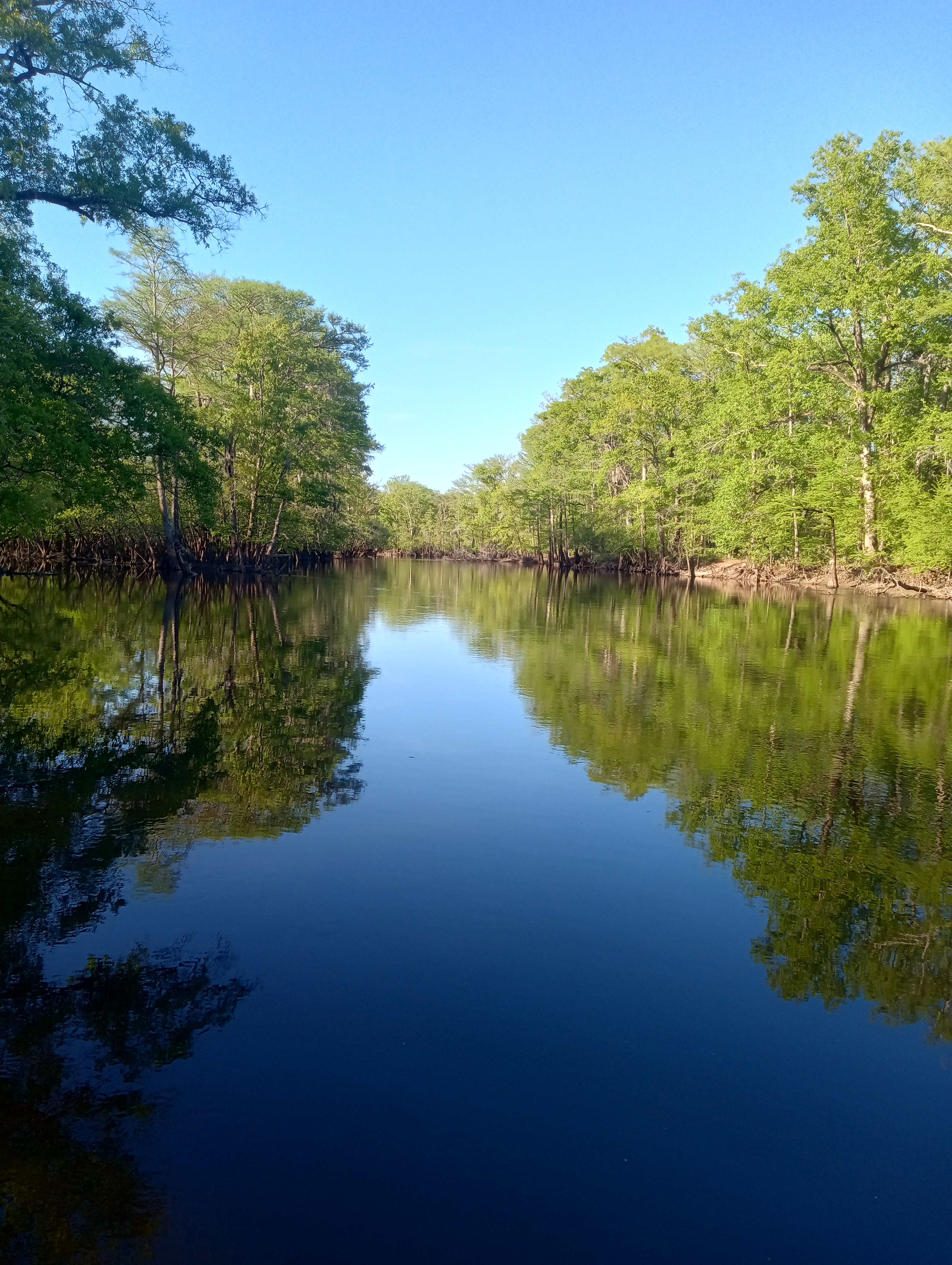 Black River Camping Ventures