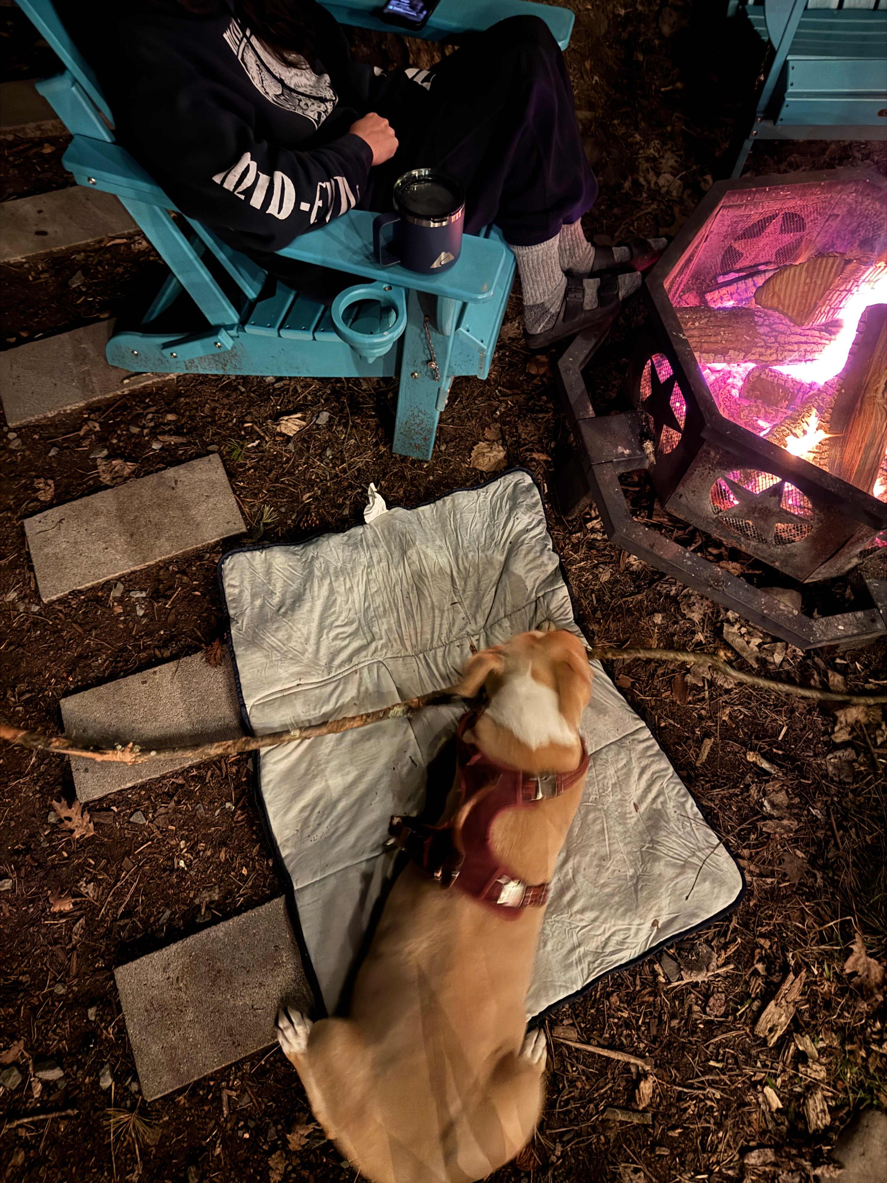 Glamping Tent Overlooking Waterfall