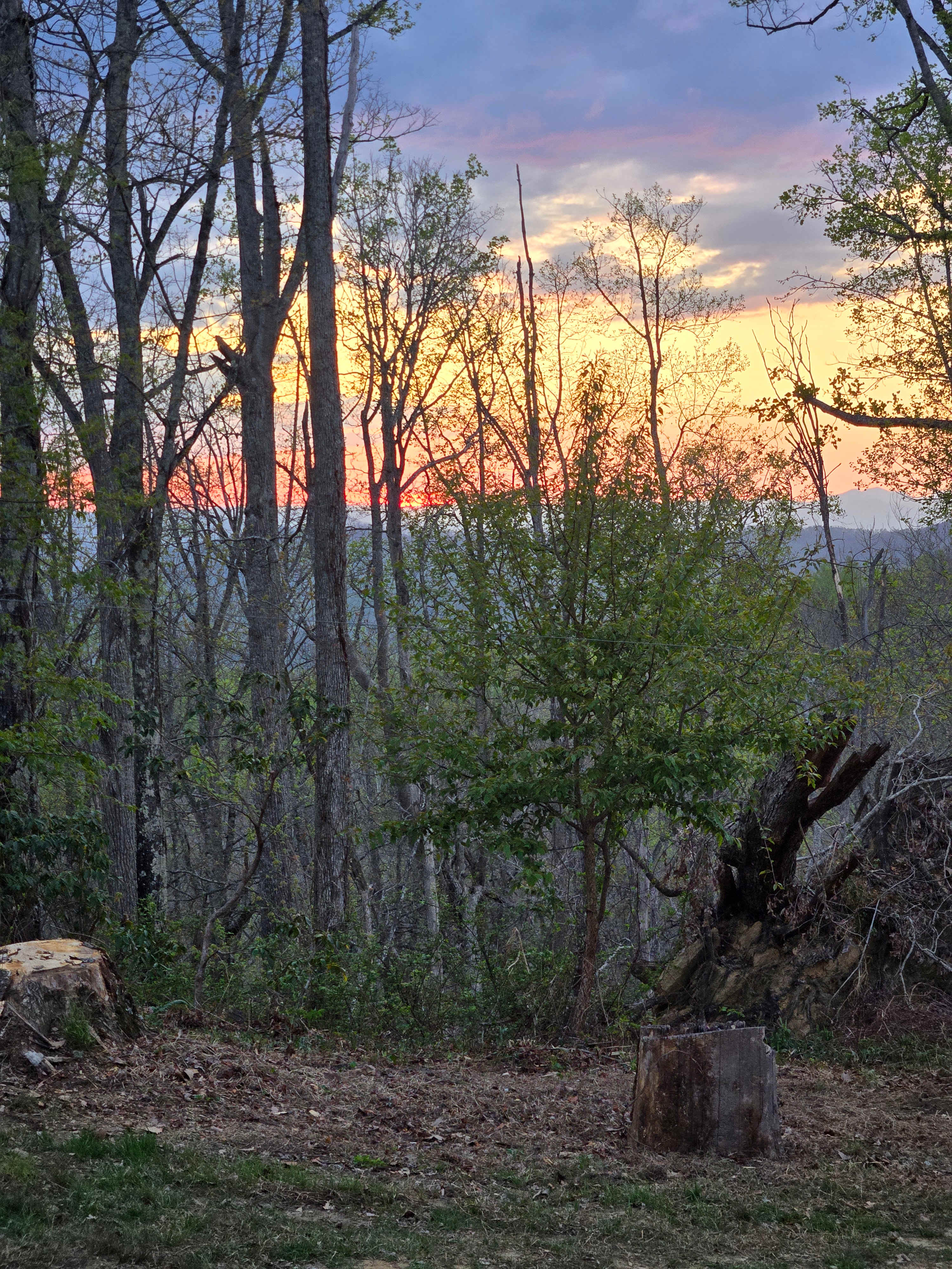 Barnhill Mountain in Fletcher, NC