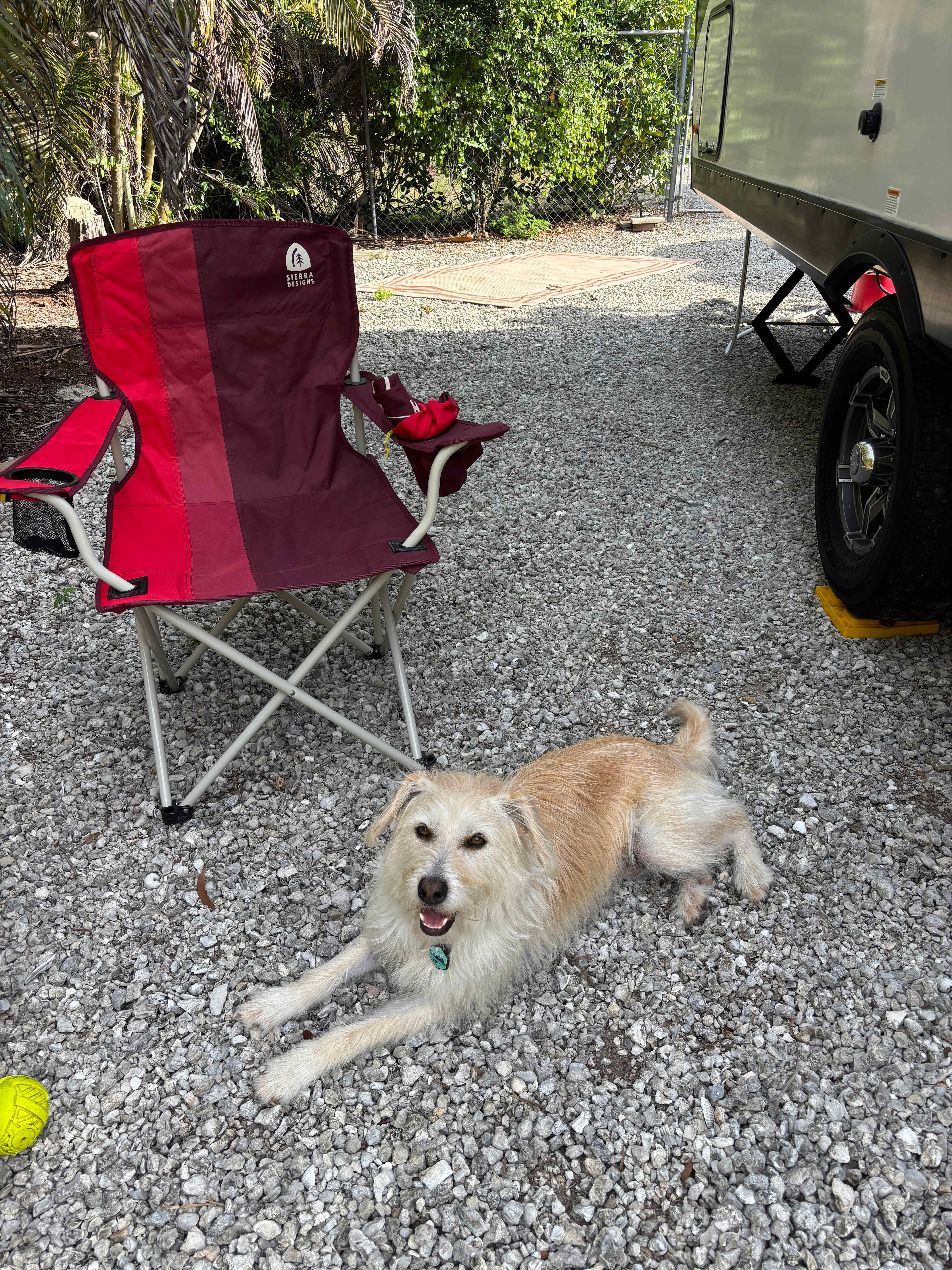 Staying in the shade
