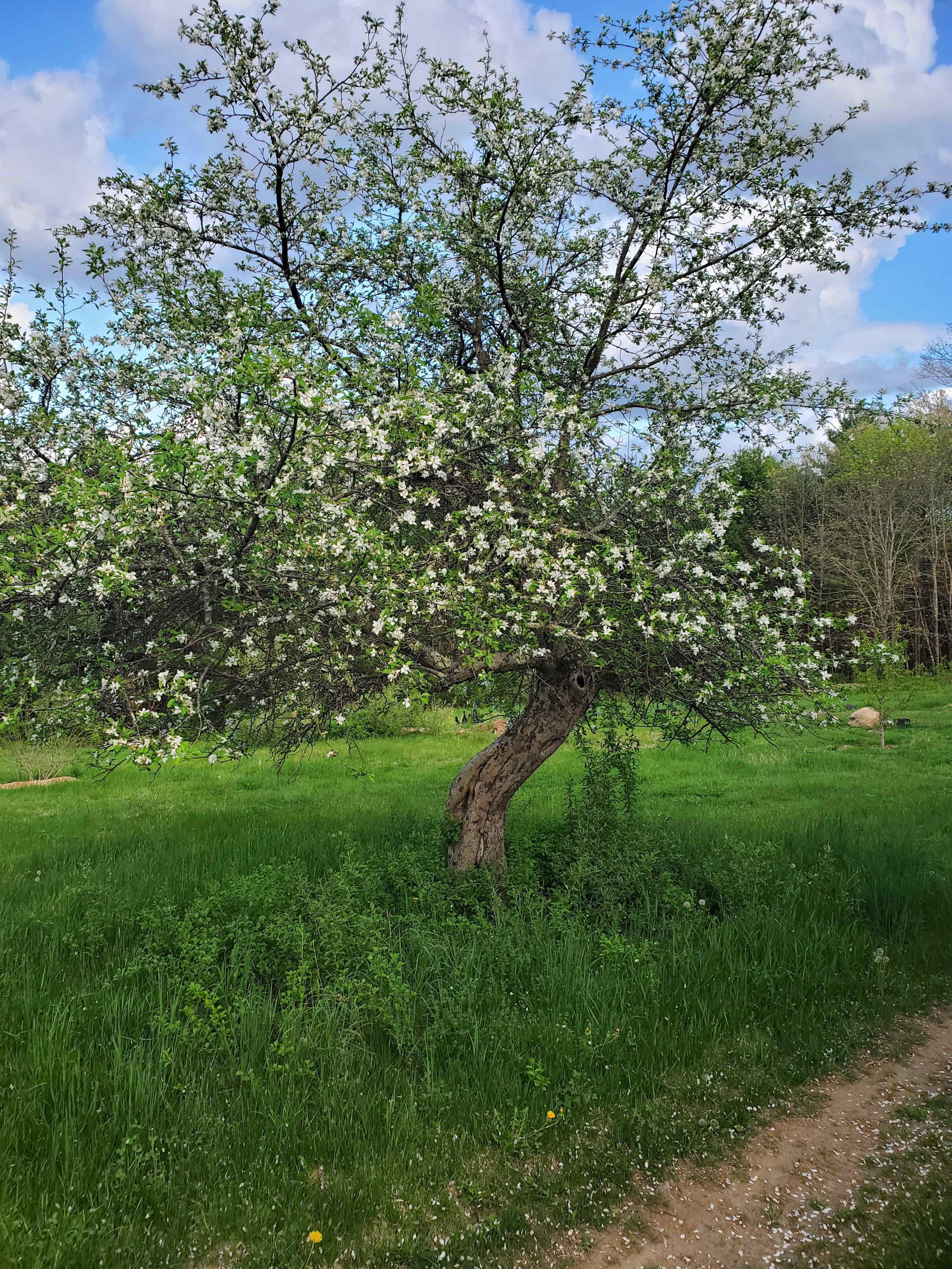 HHRH Farms