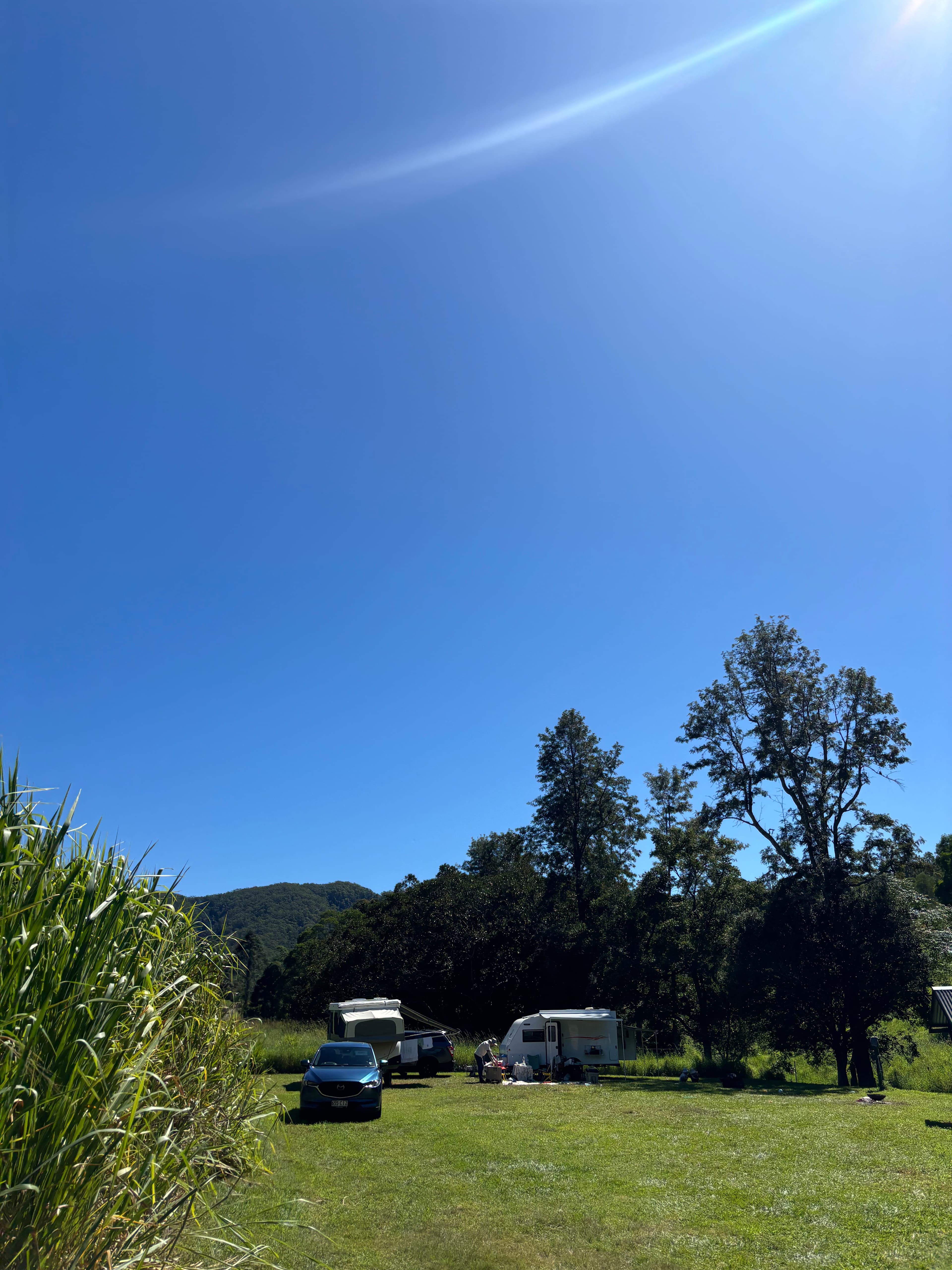 McKenzie Creek Campsite