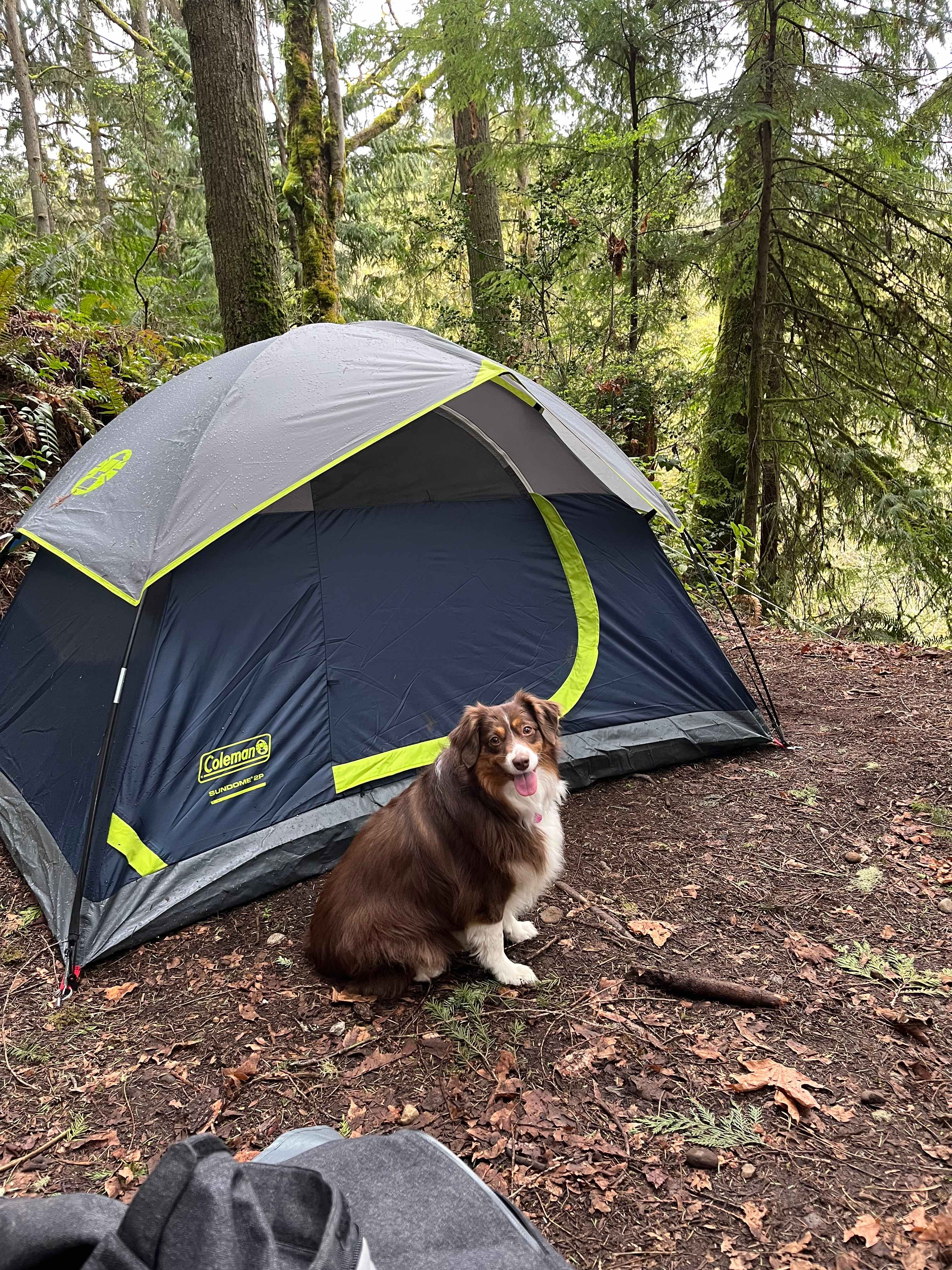 Curley Creek Canyon