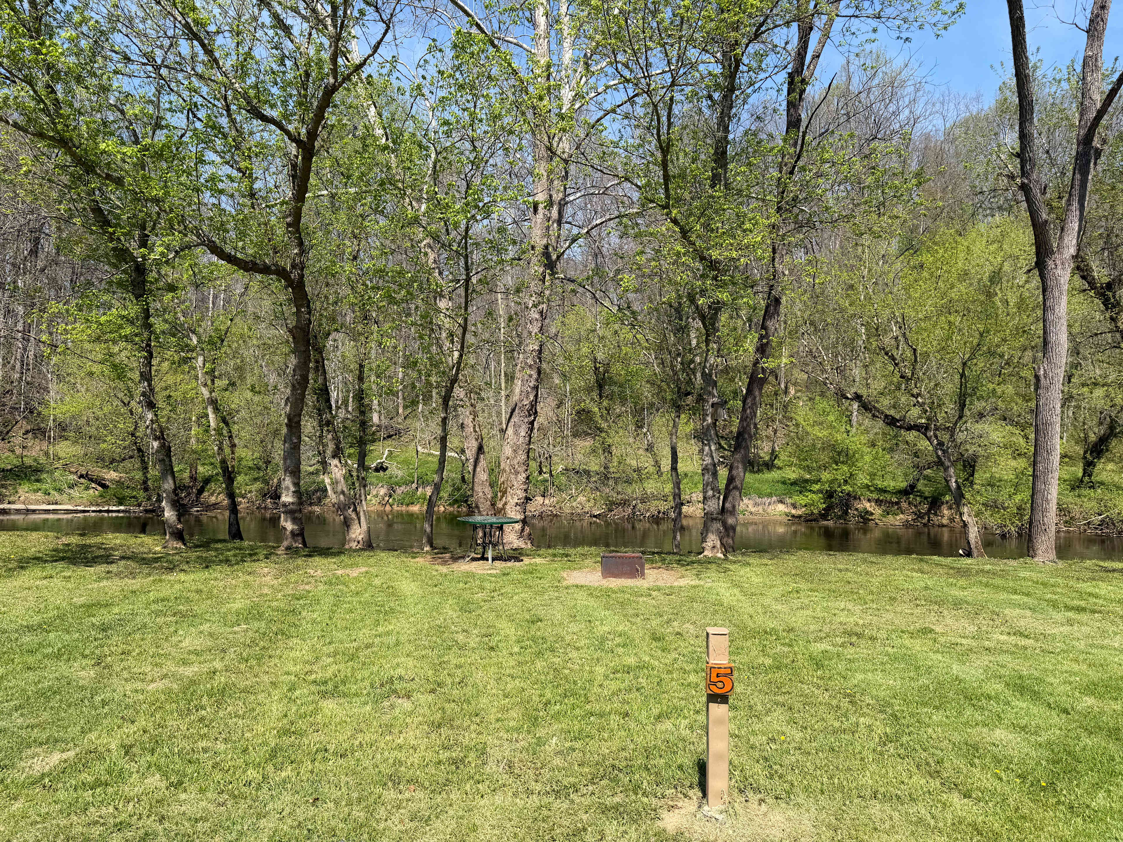Picture of the site
