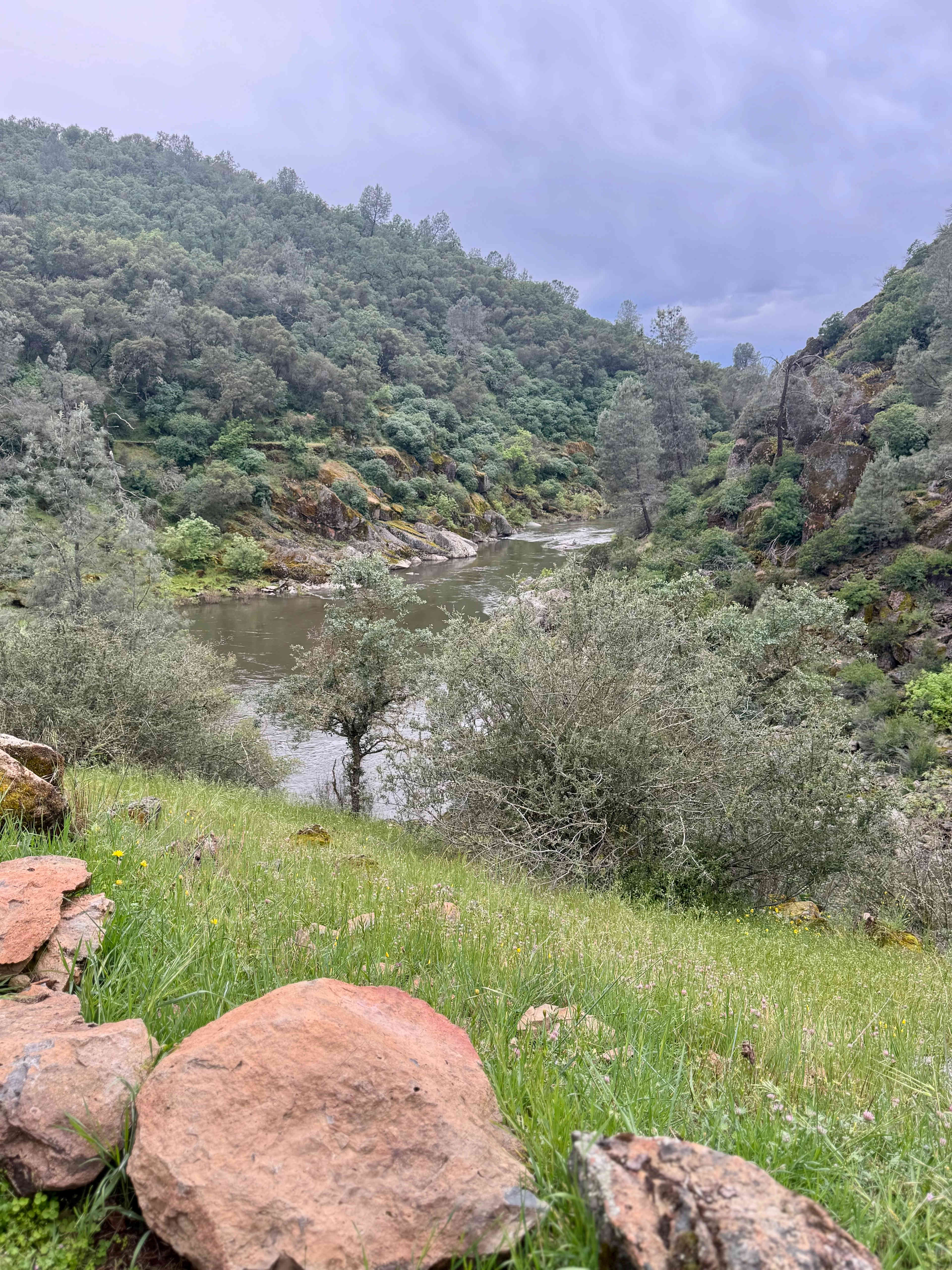 Cosumnes River Ranch