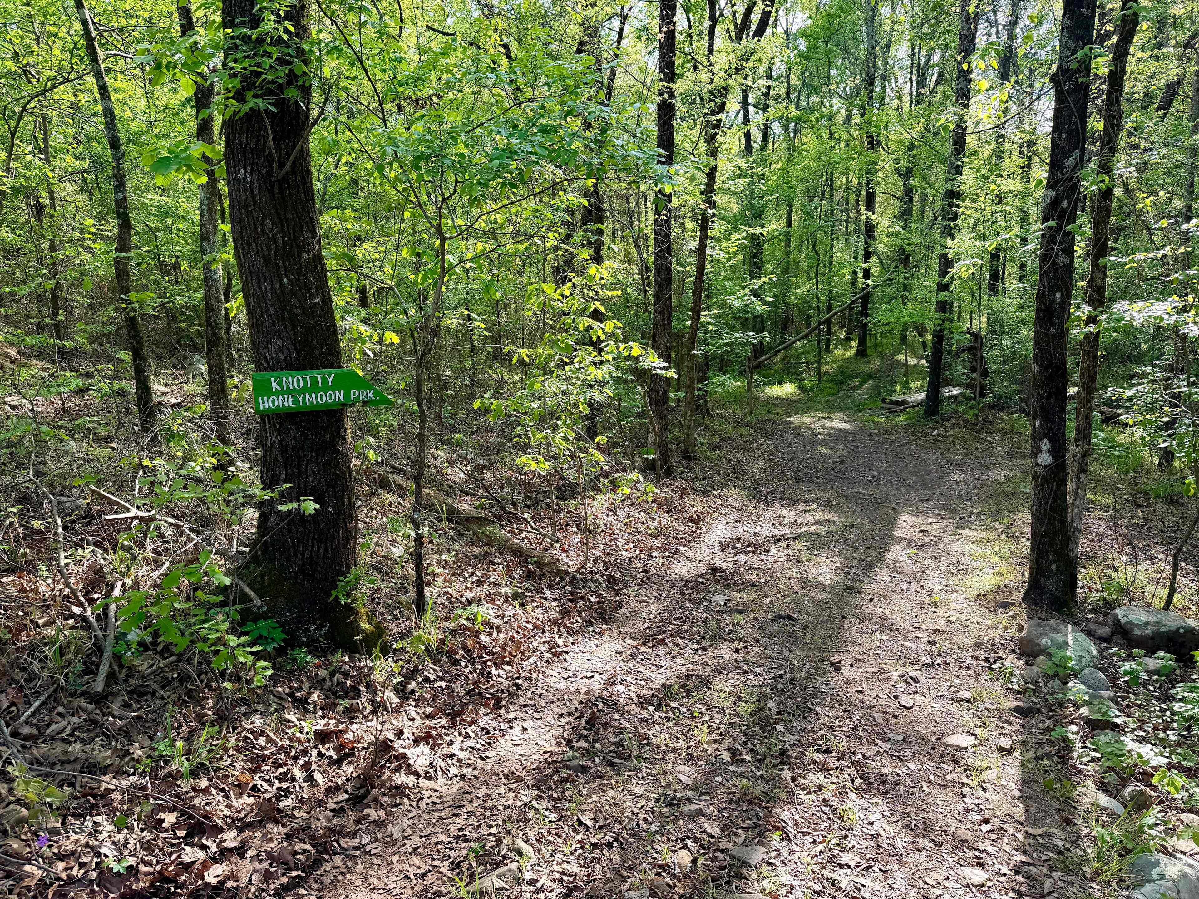 Ferngully Campground And Retreat