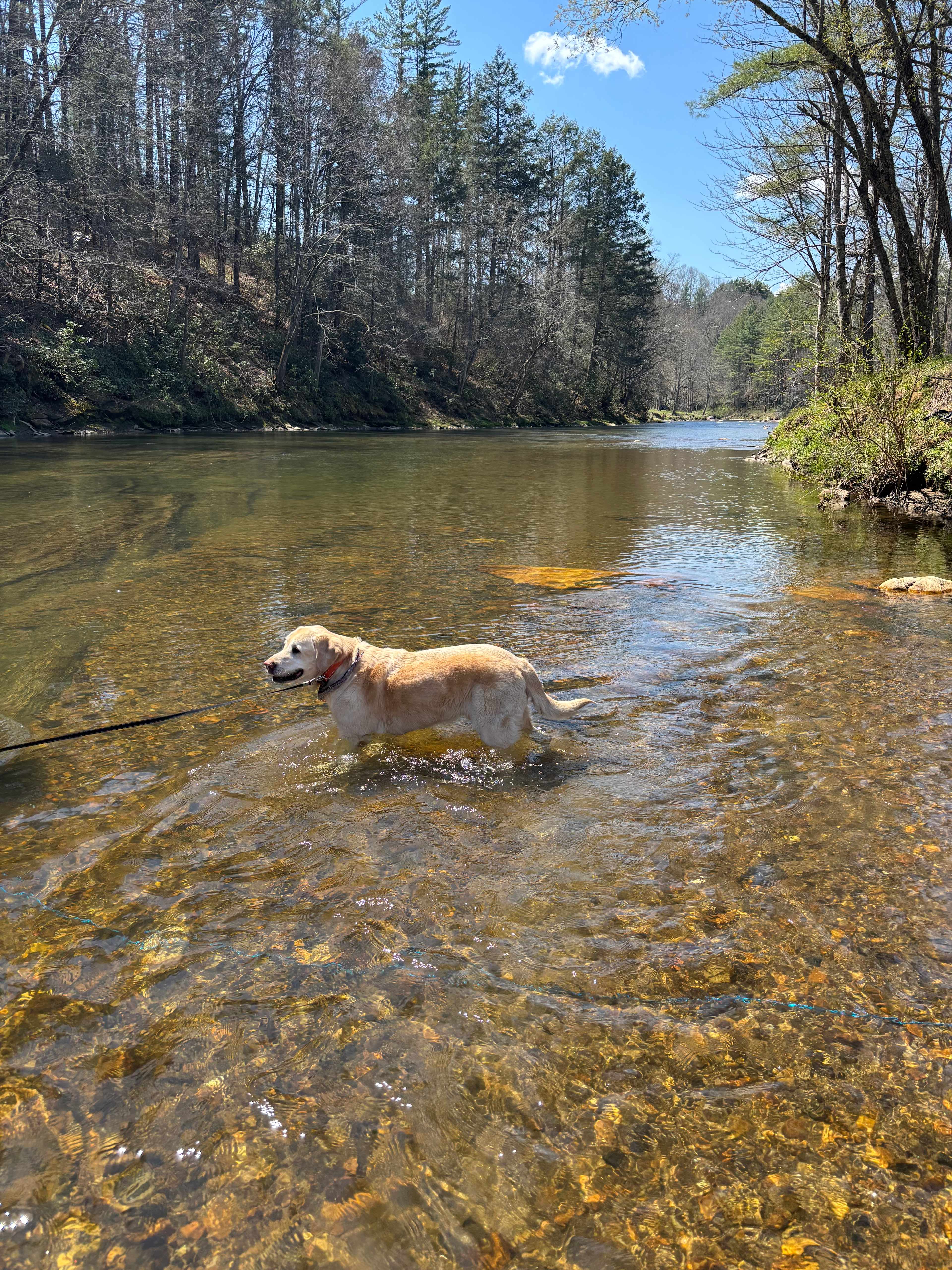 Hidden River Experience