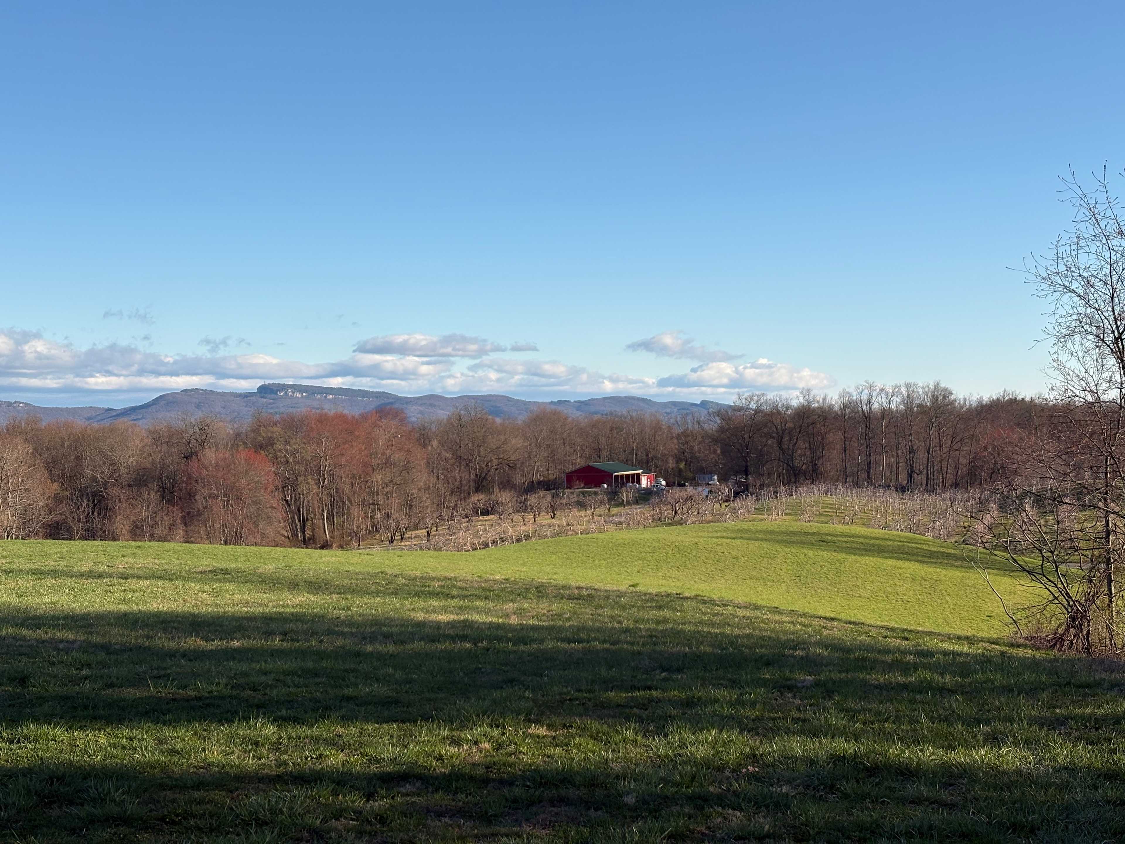 The Mountain Top @Wright's Farm