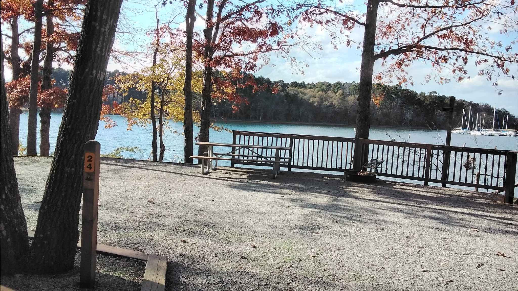 Picture of the site