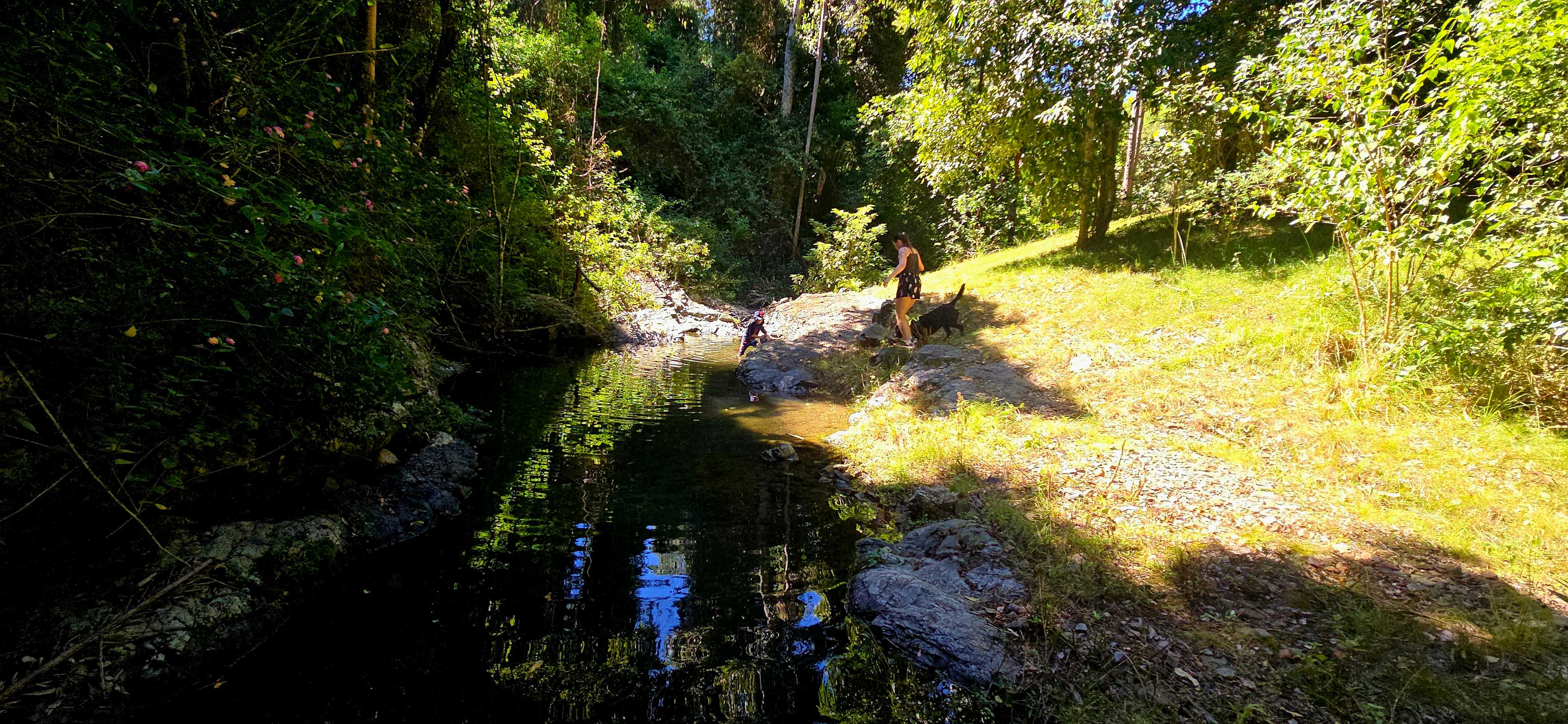 Red Cedar Valley