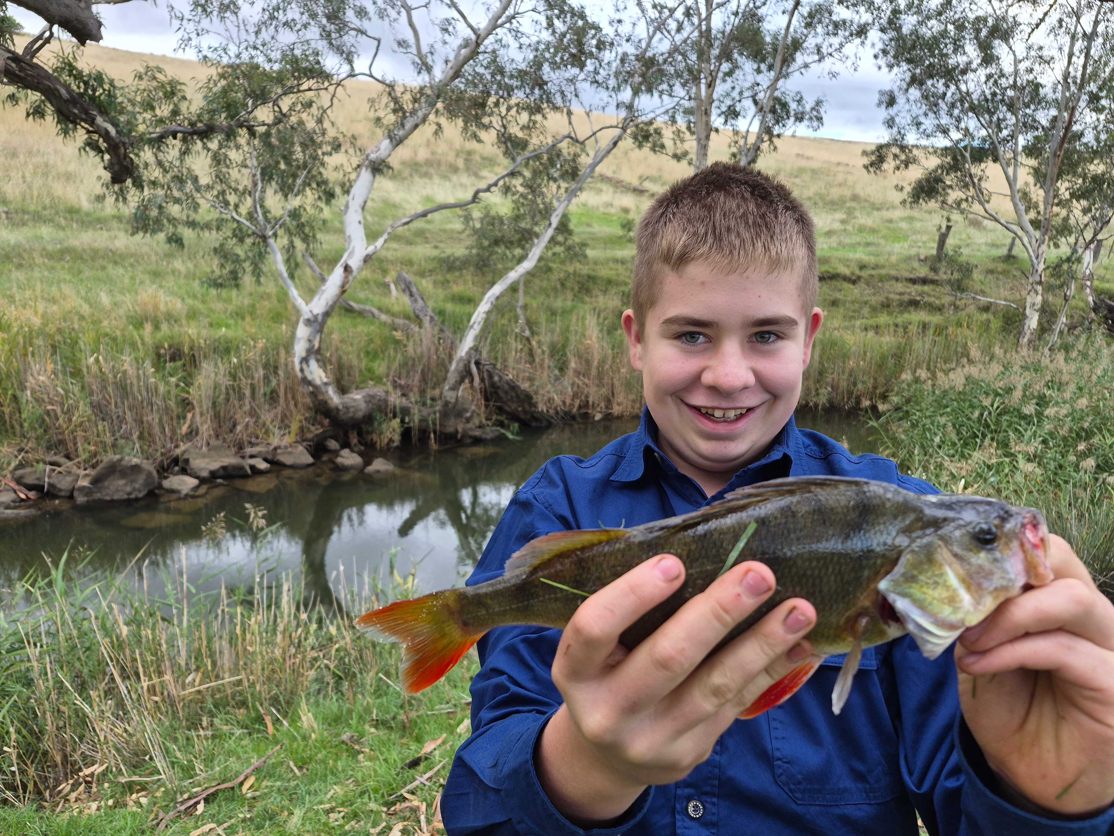 Fishing in the creek for redfin