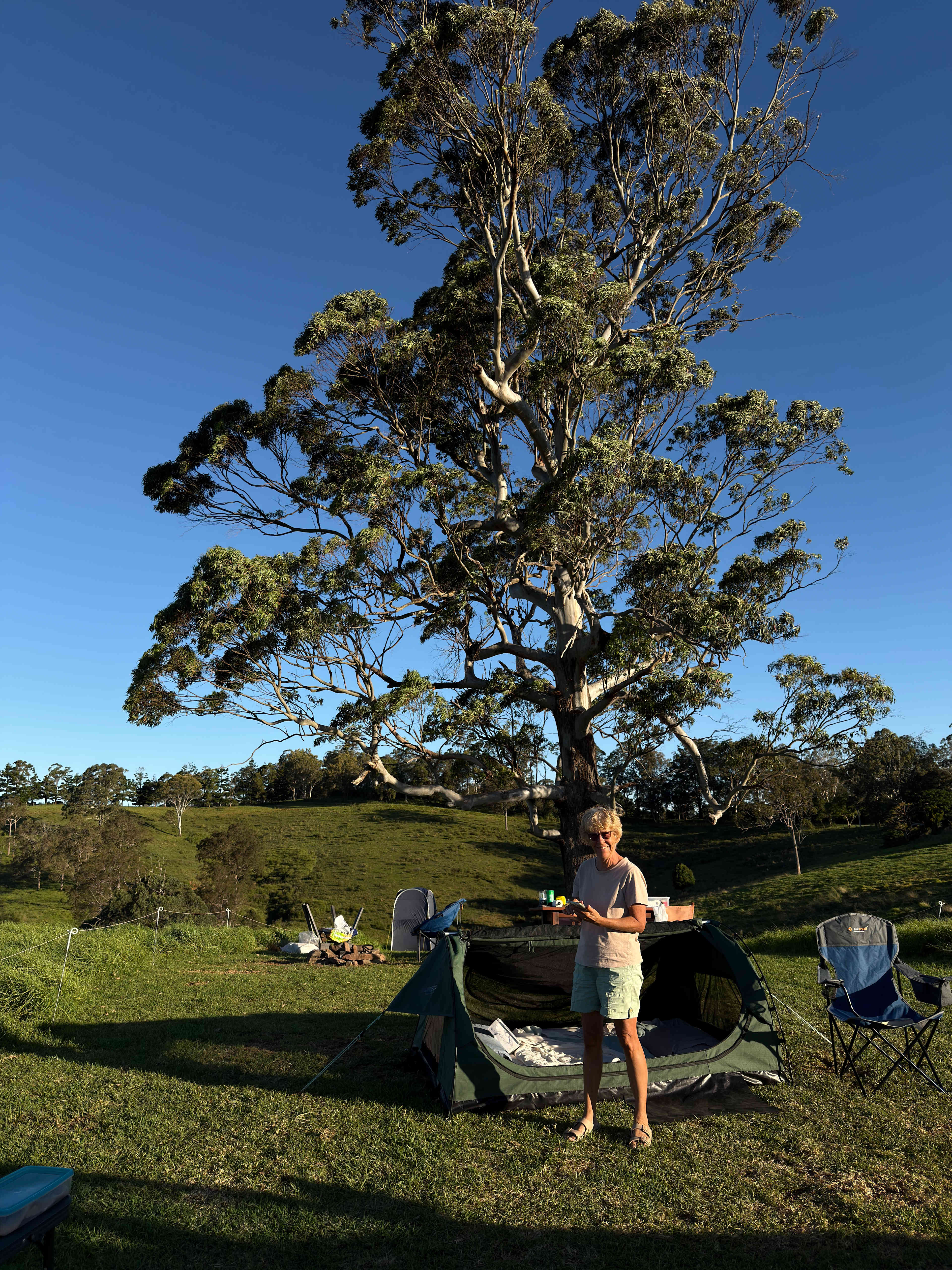 Coorie Vale