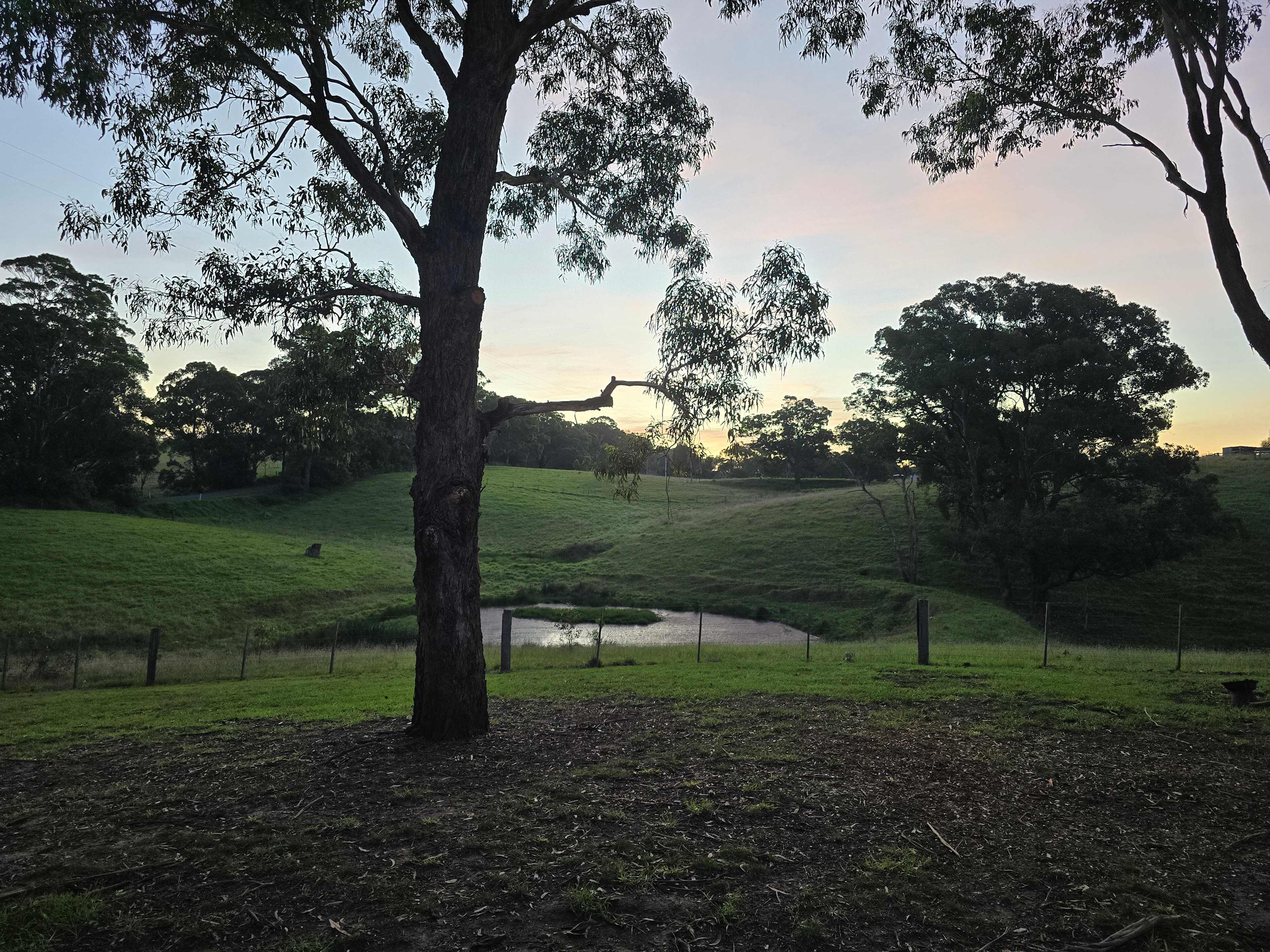 Home among the Gumtrees