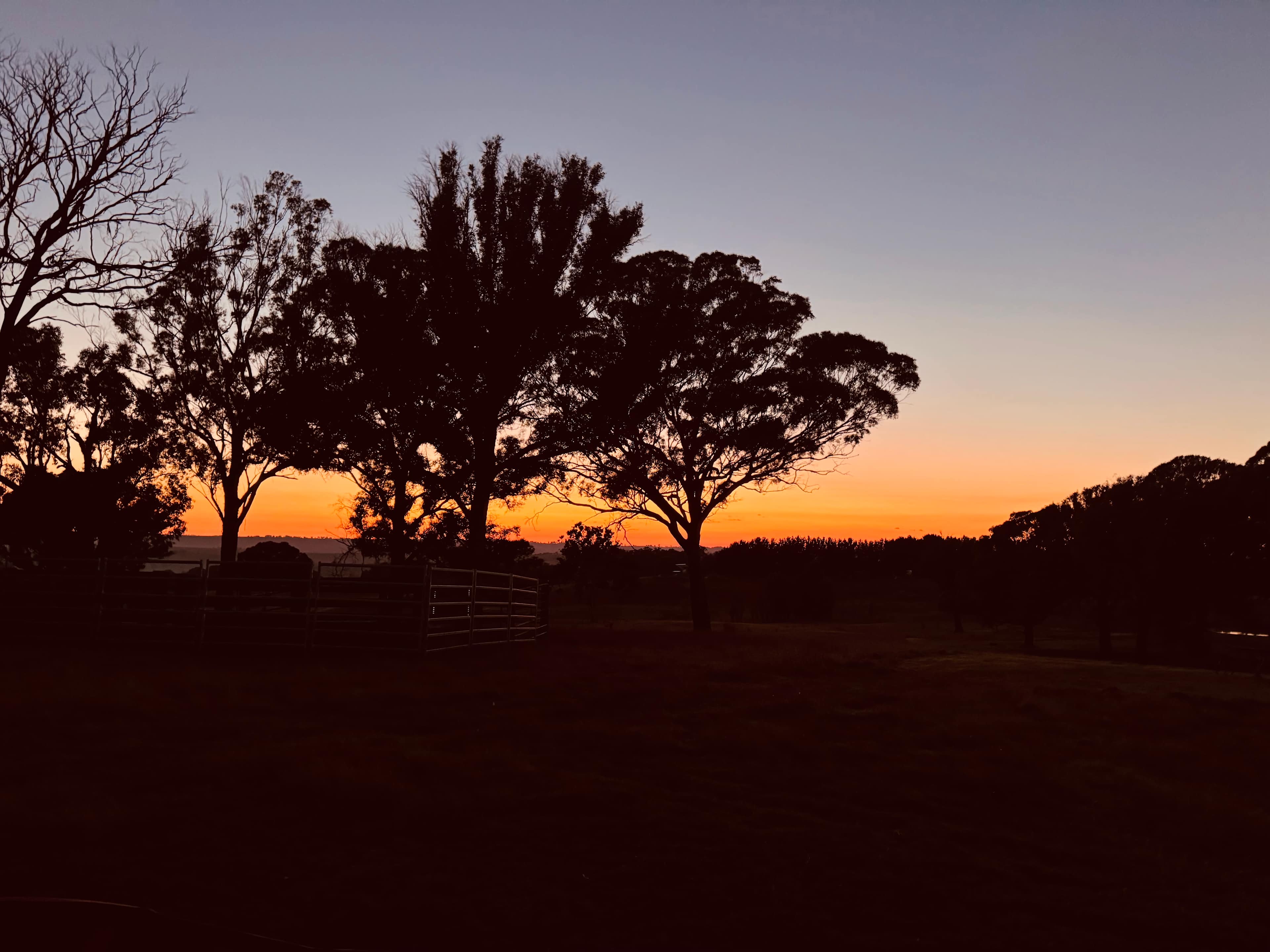 Eudora Farm
