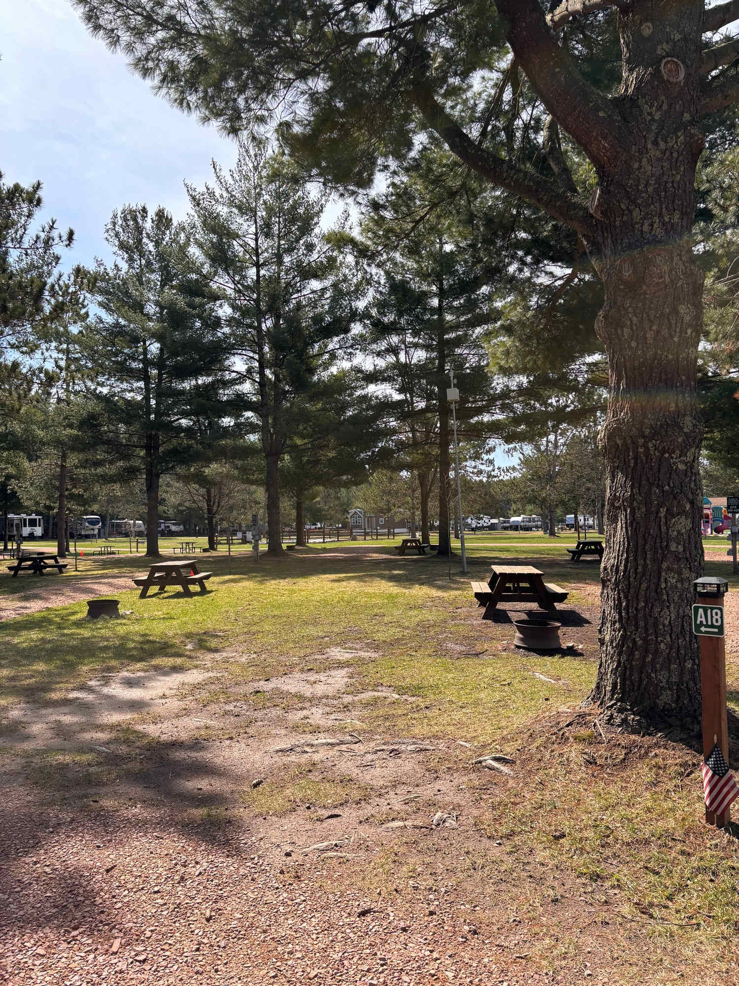 Picture of the site