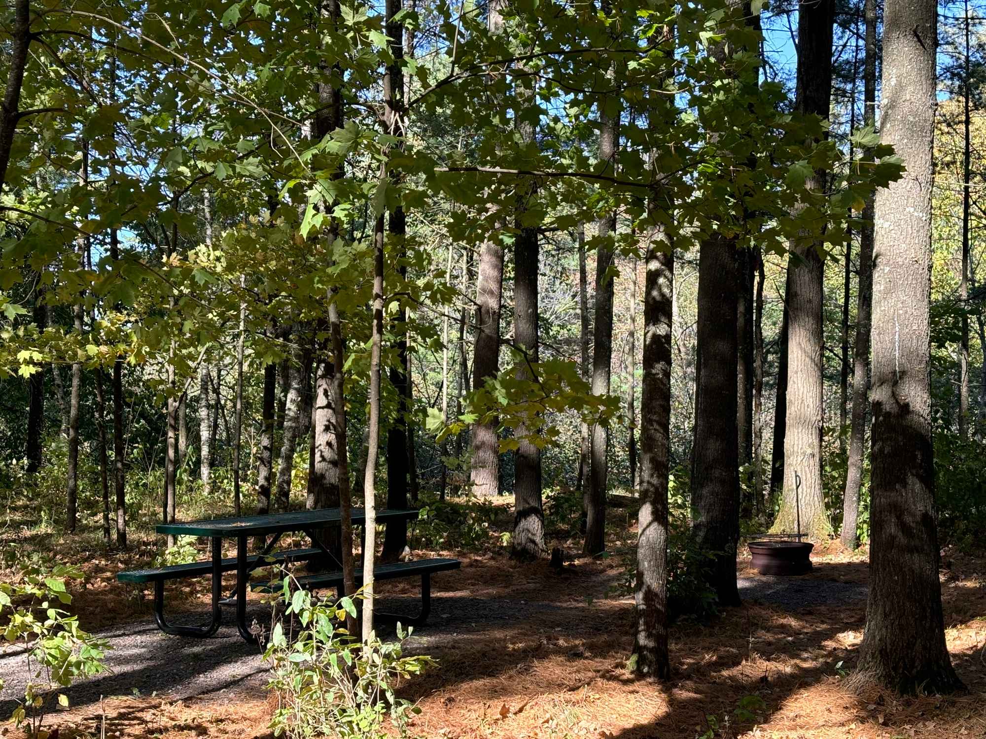 Picture of the site