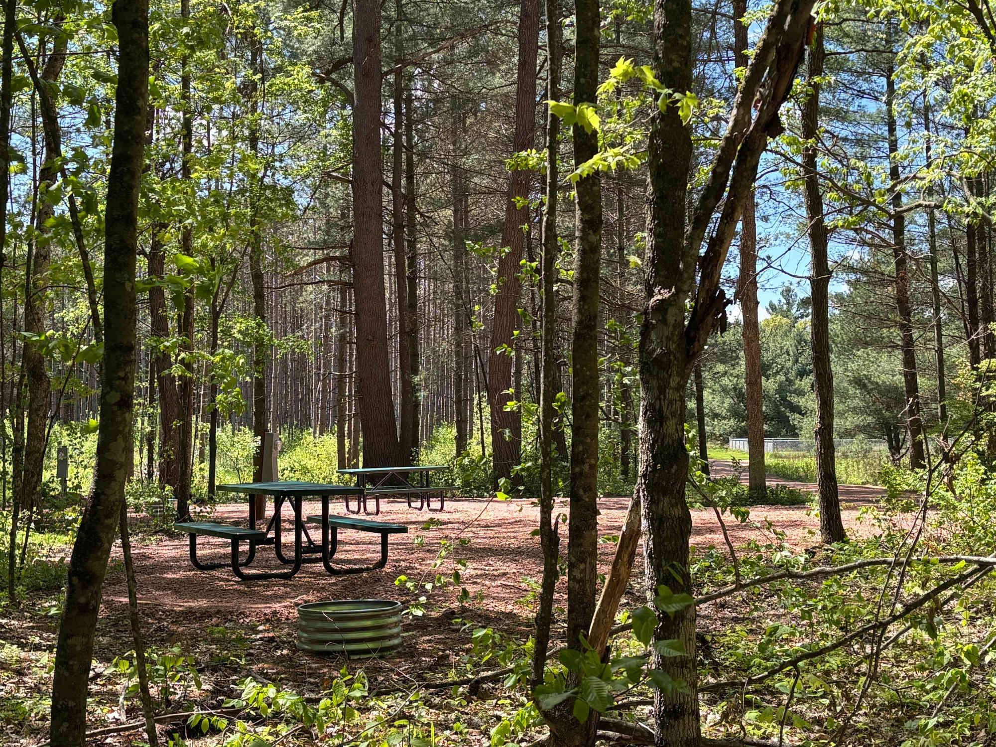 Picture of the site