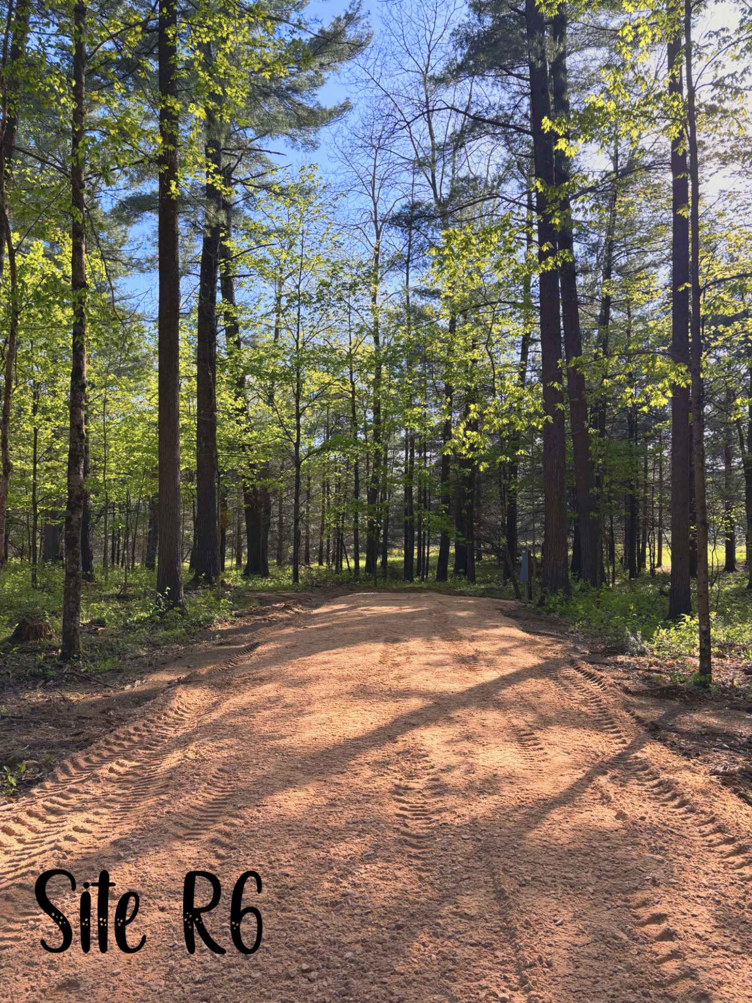 Picture of the site