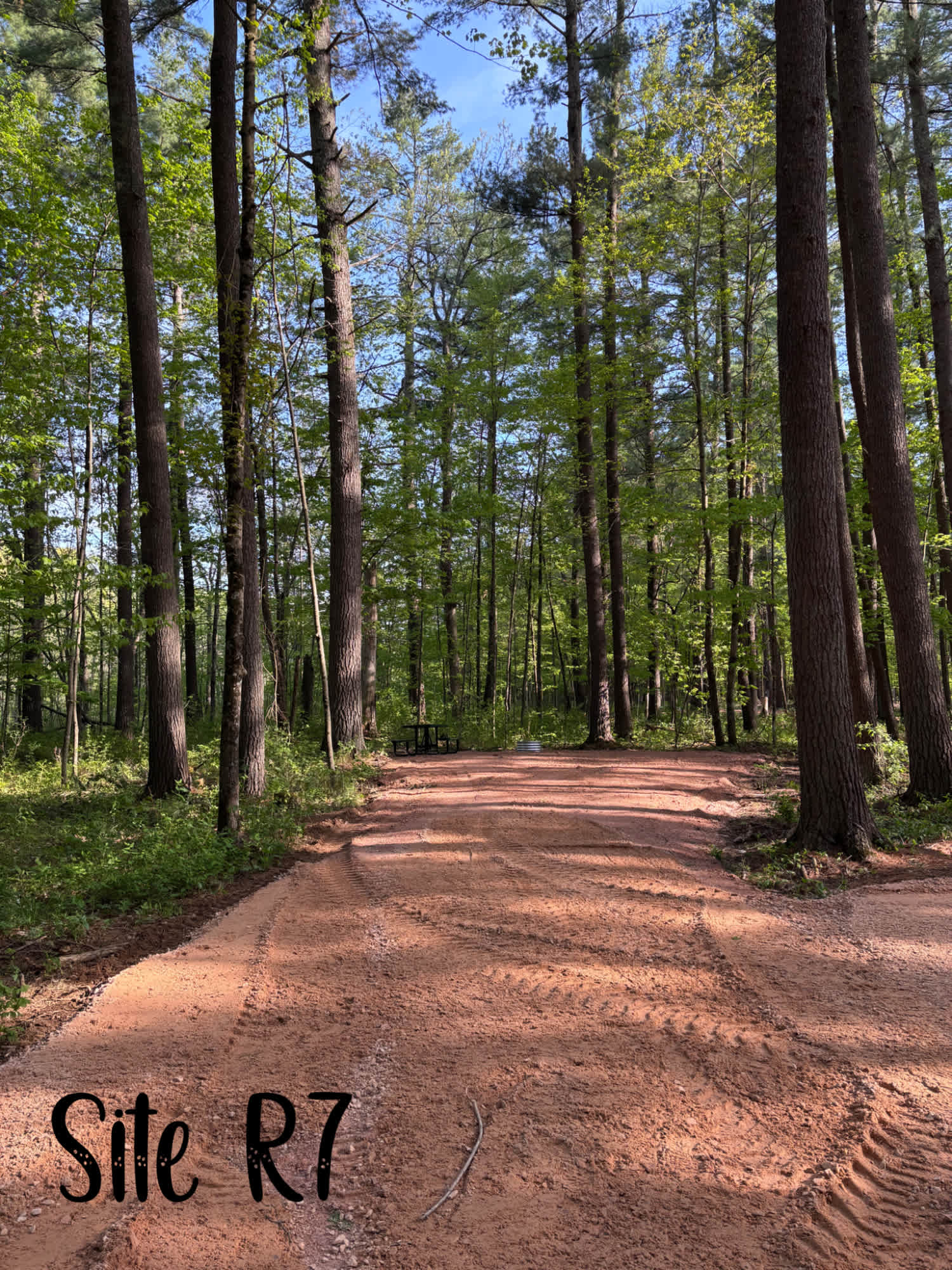 Picture of the site