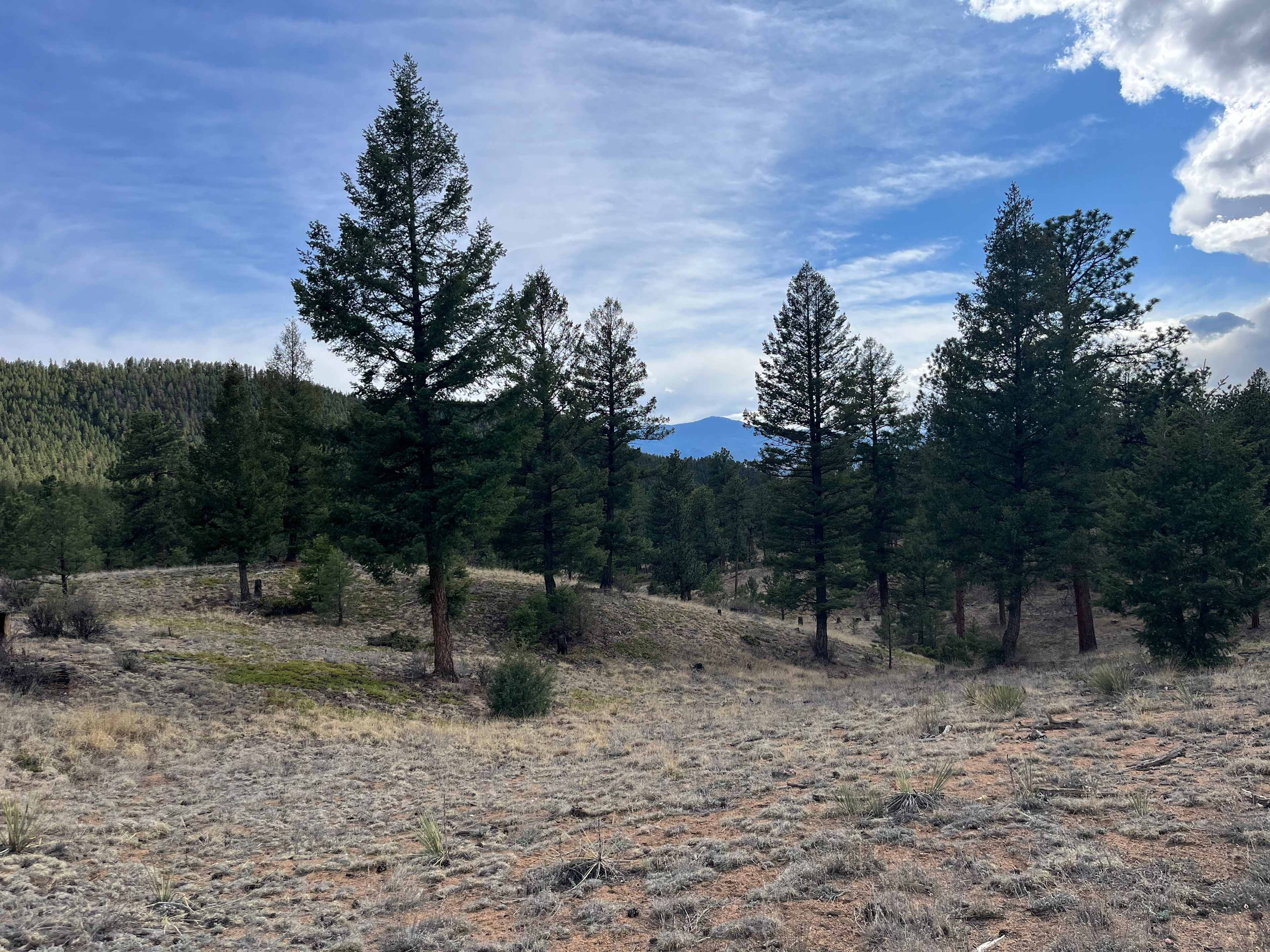 Serenity in the Foothills