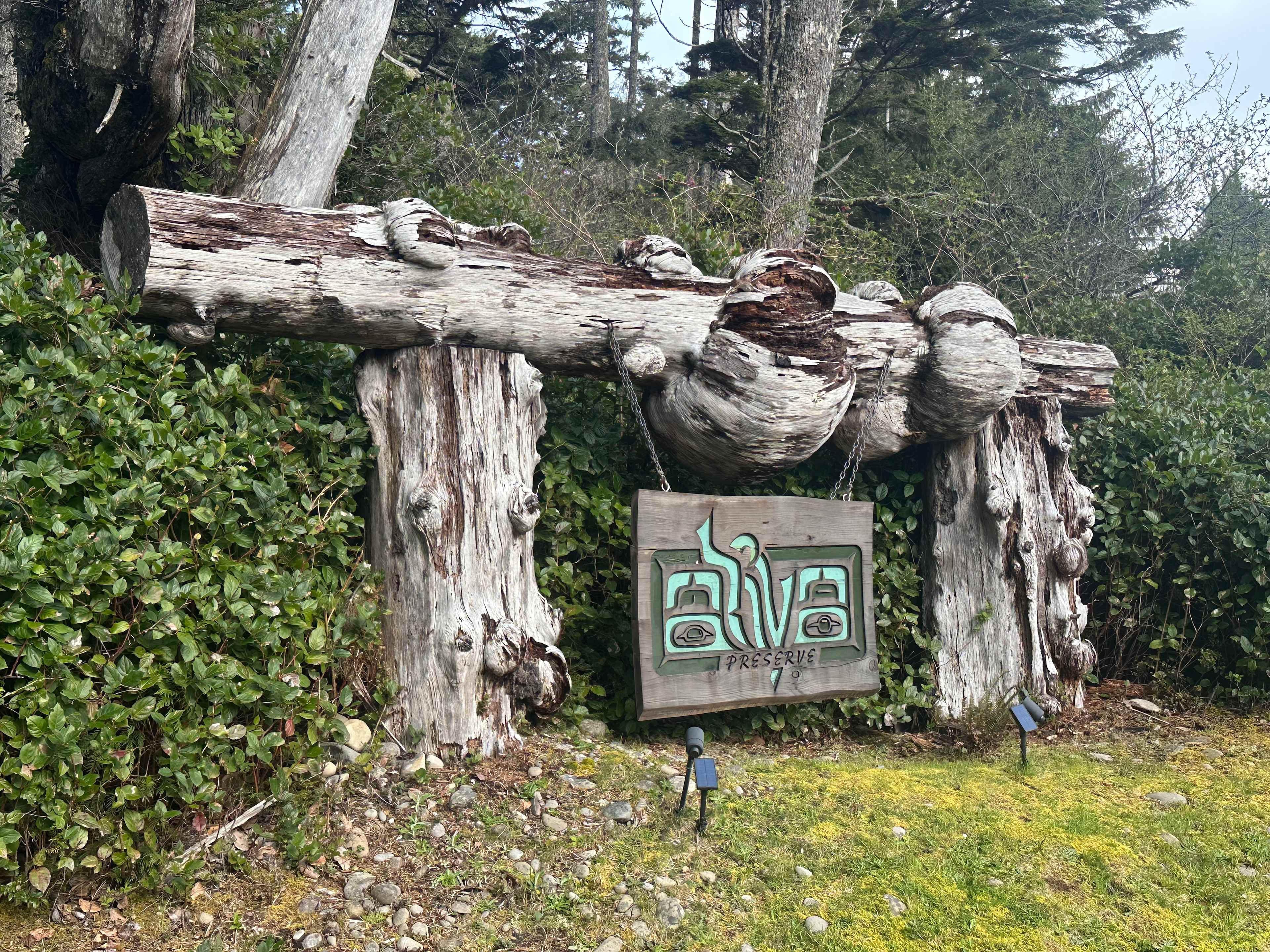 Aliya Preserve—WA Coast Eco-Retreat