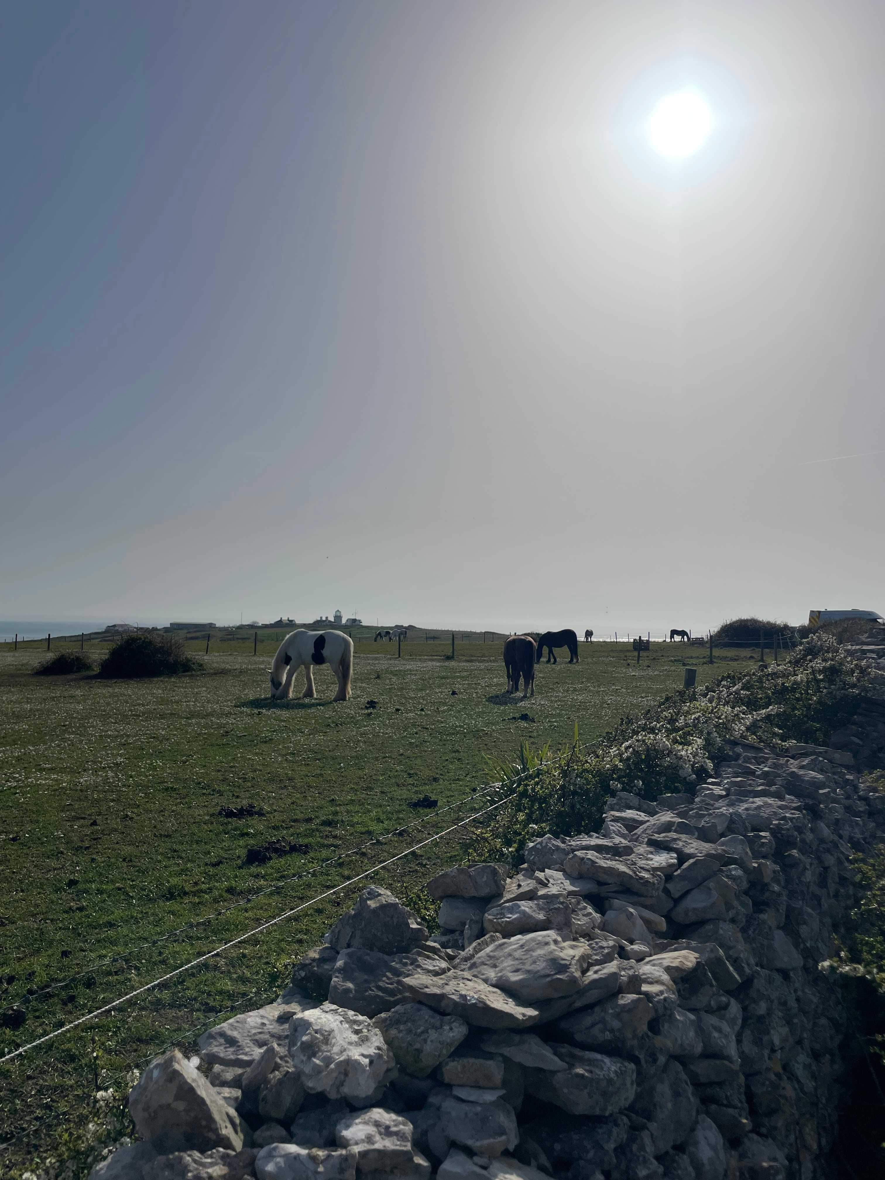 Sweet Hill Farm