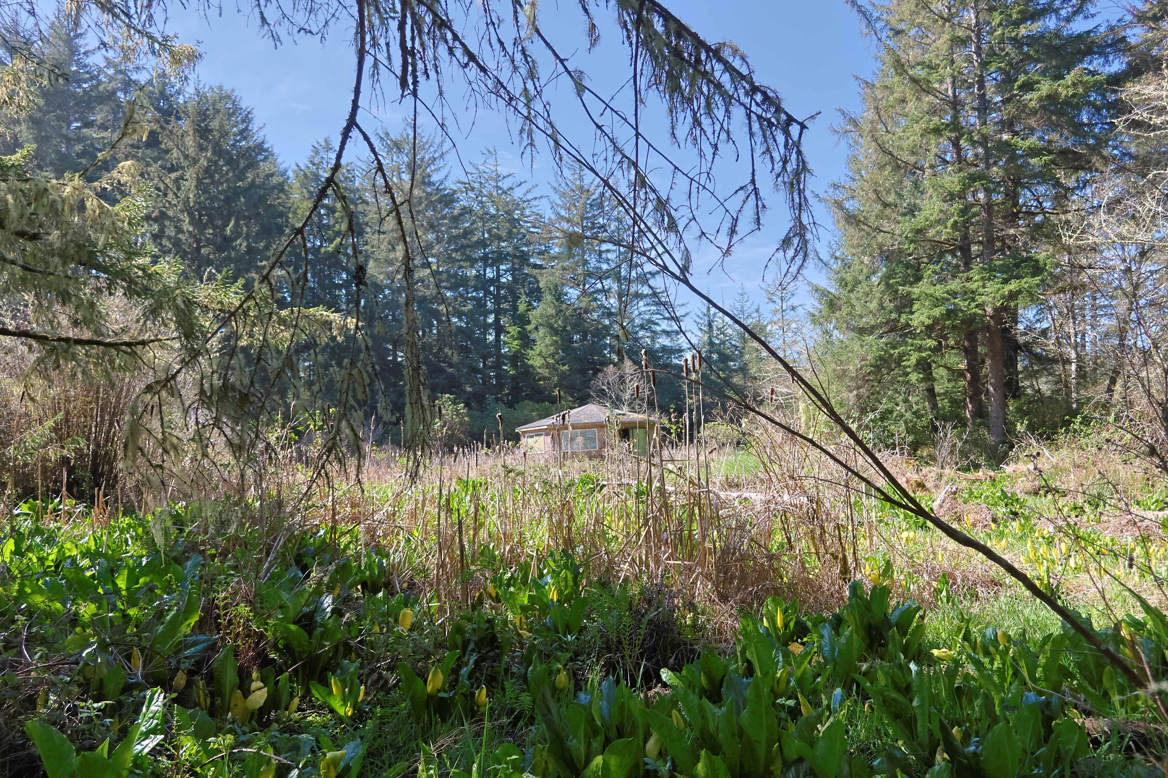 Lost Coast Adventure Camp