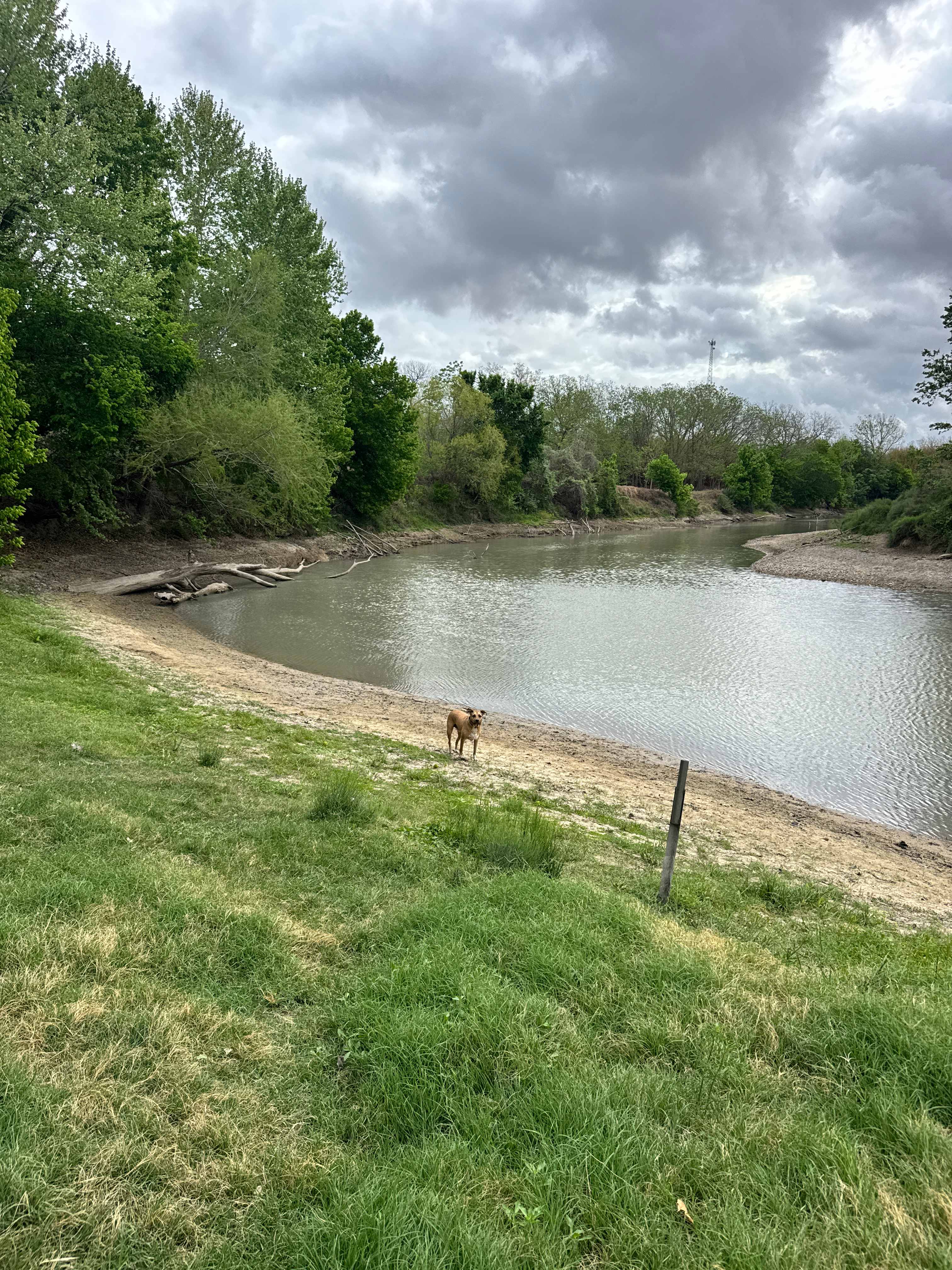 River Grove Campground
