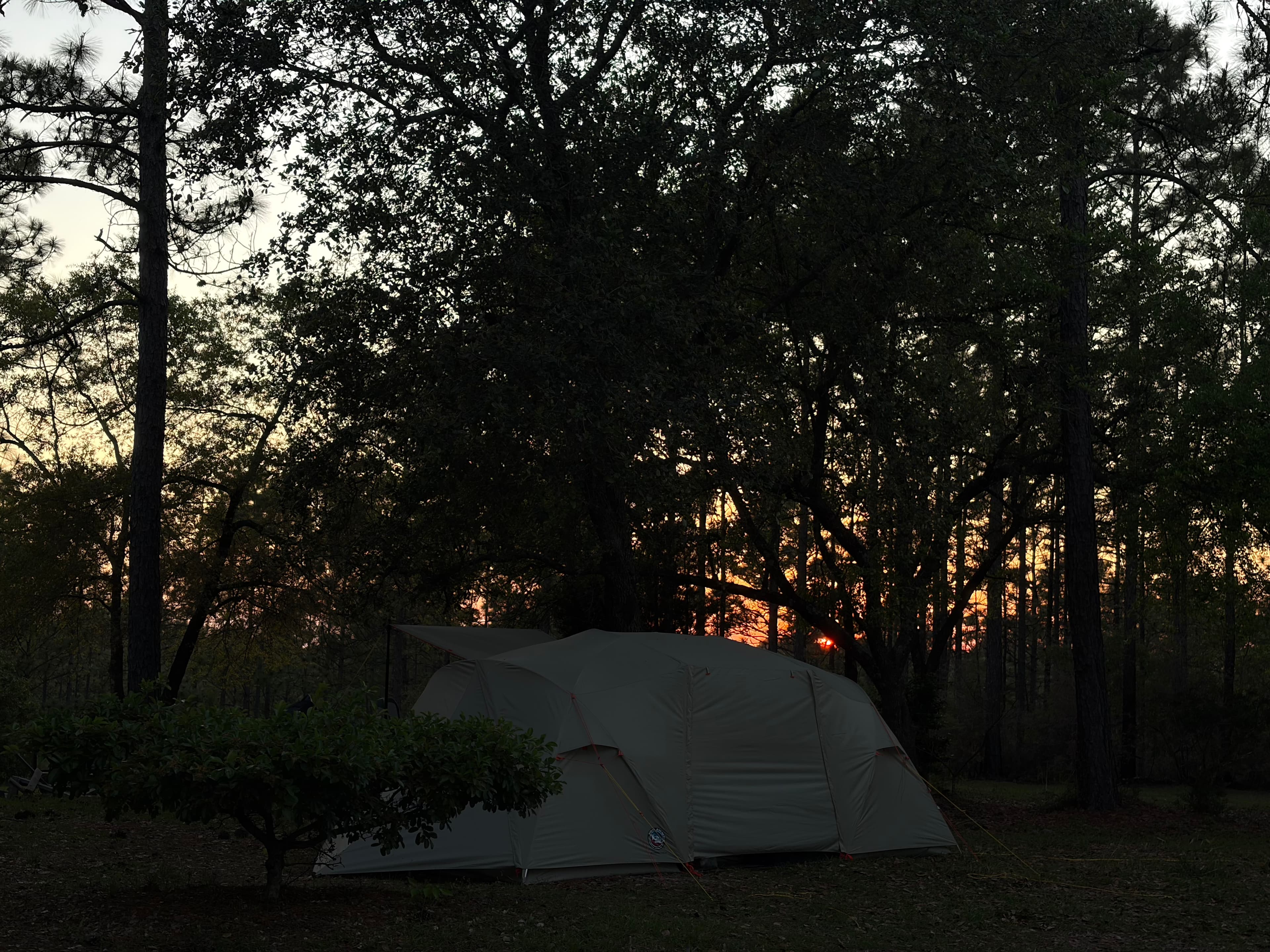 Sunset on the sandhill!