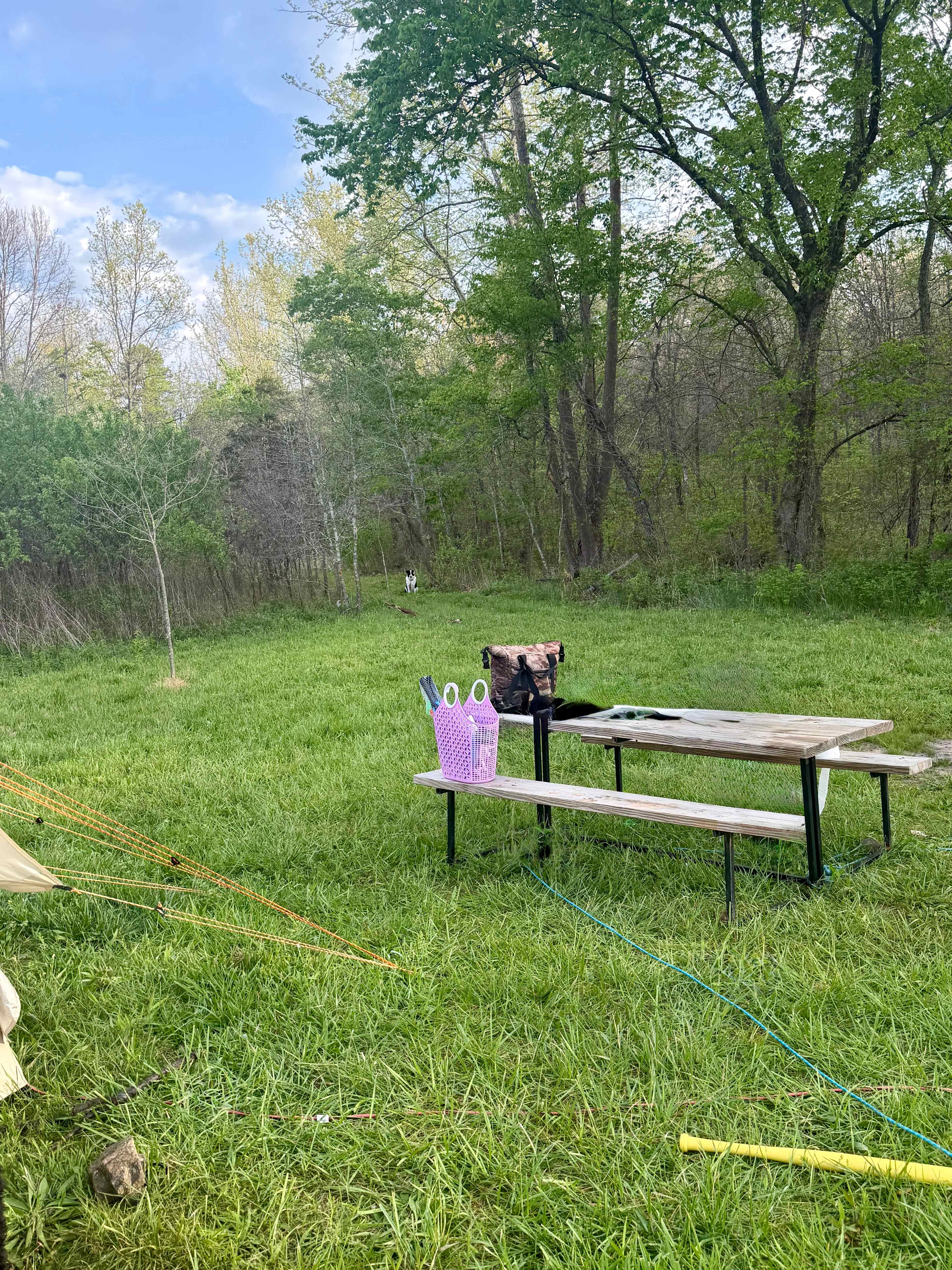 Picture of the site