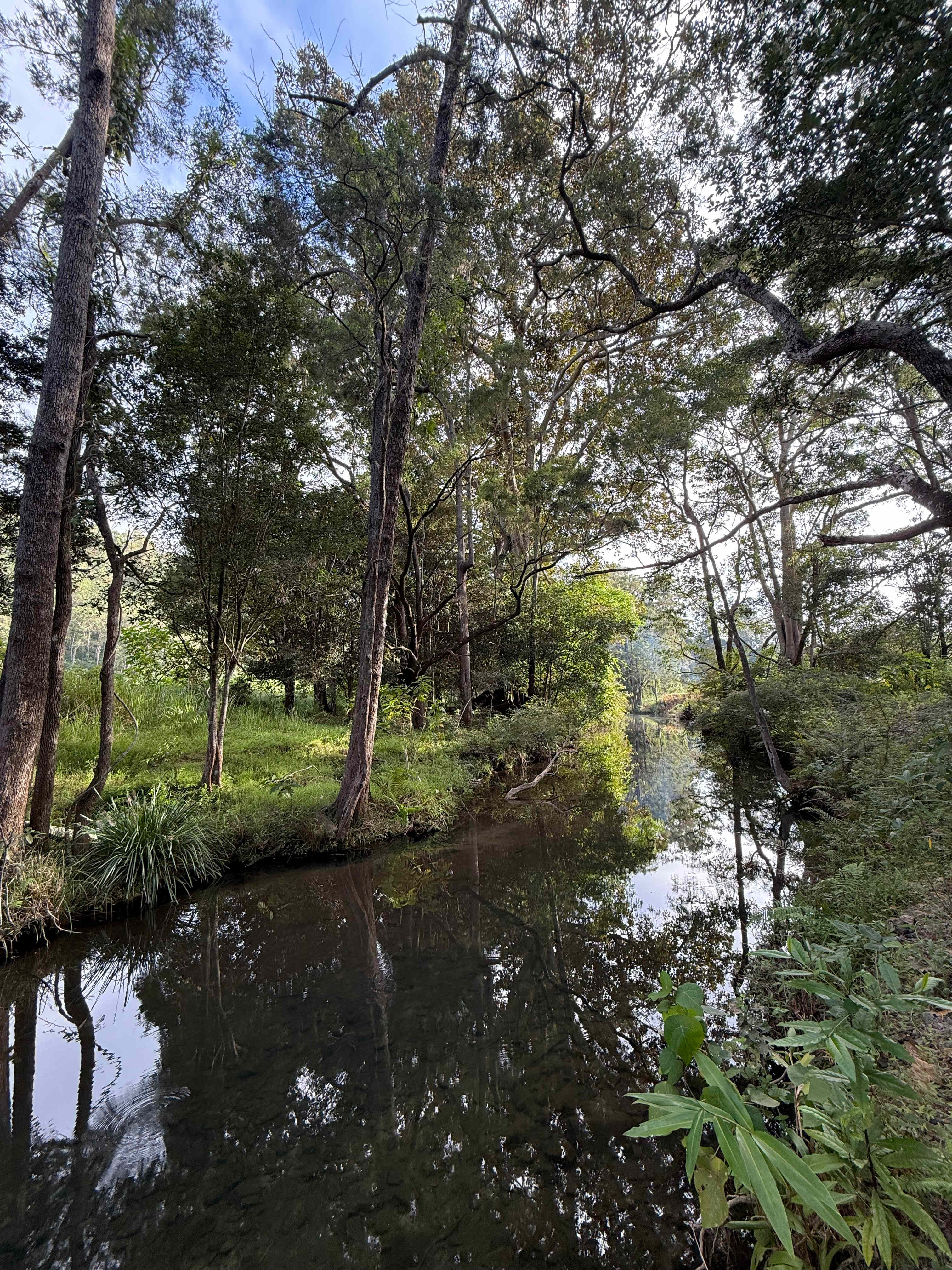100 Acre Estate