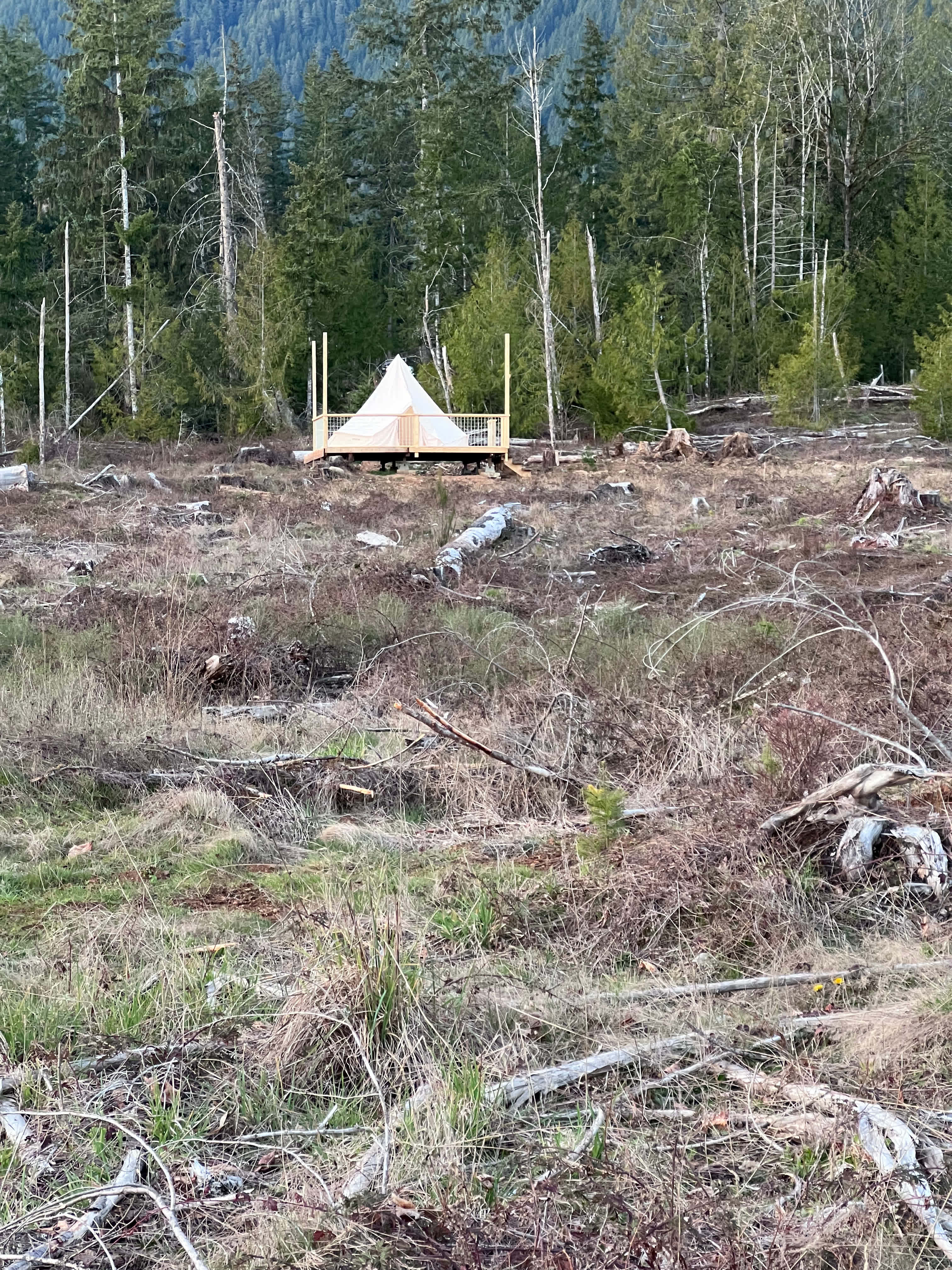 Picture of the site