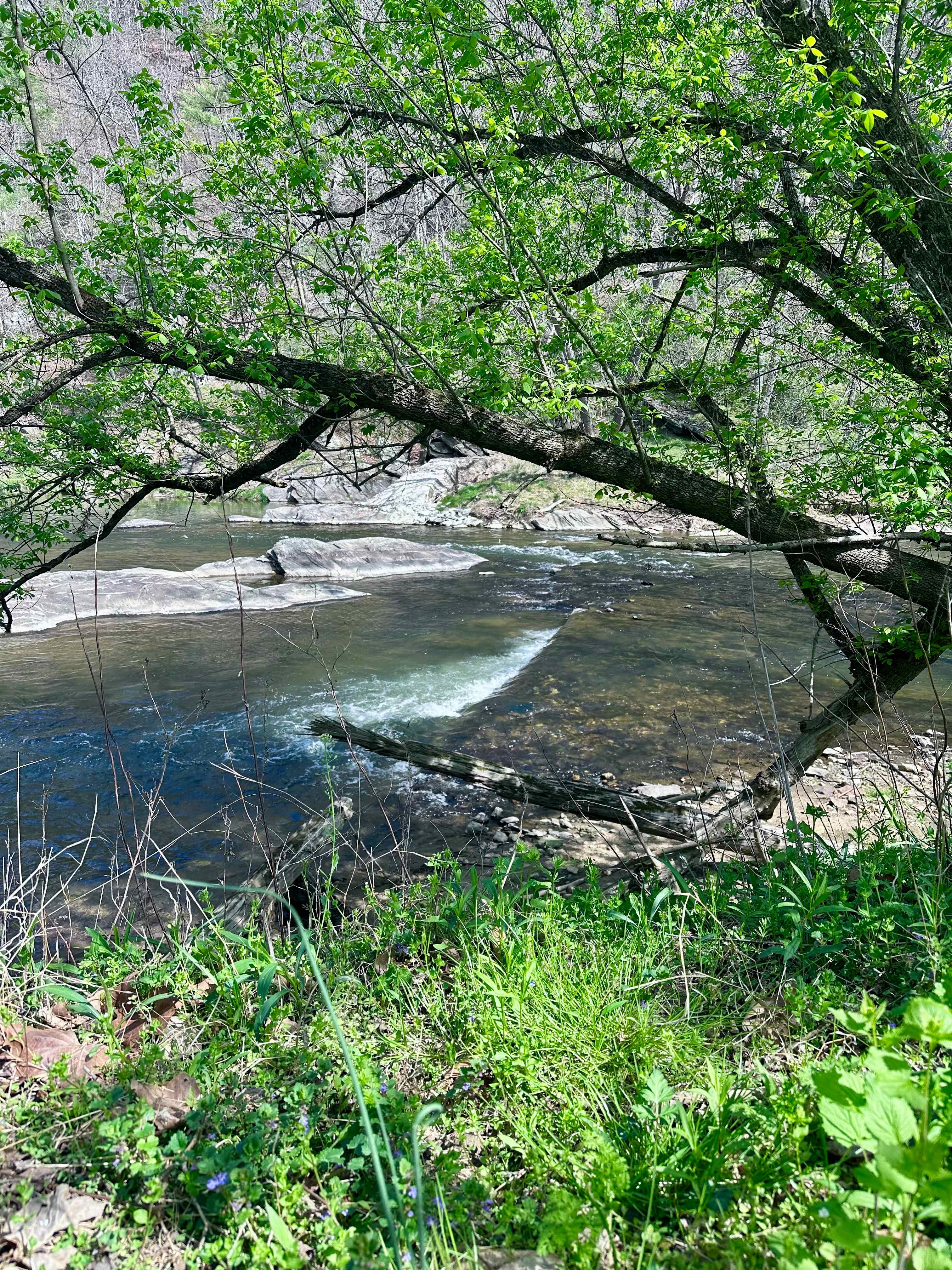 The River's Edge