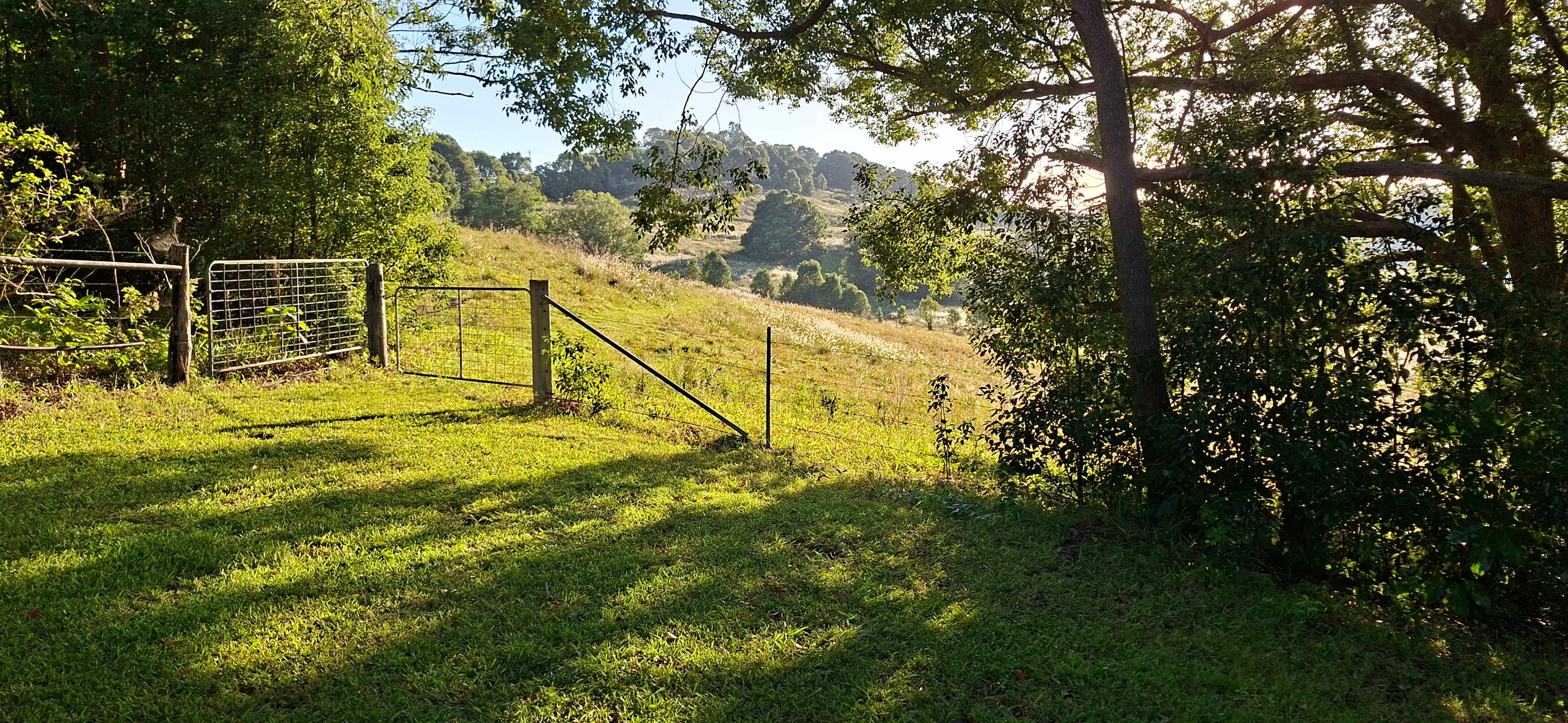 Byron Myocum Farm
