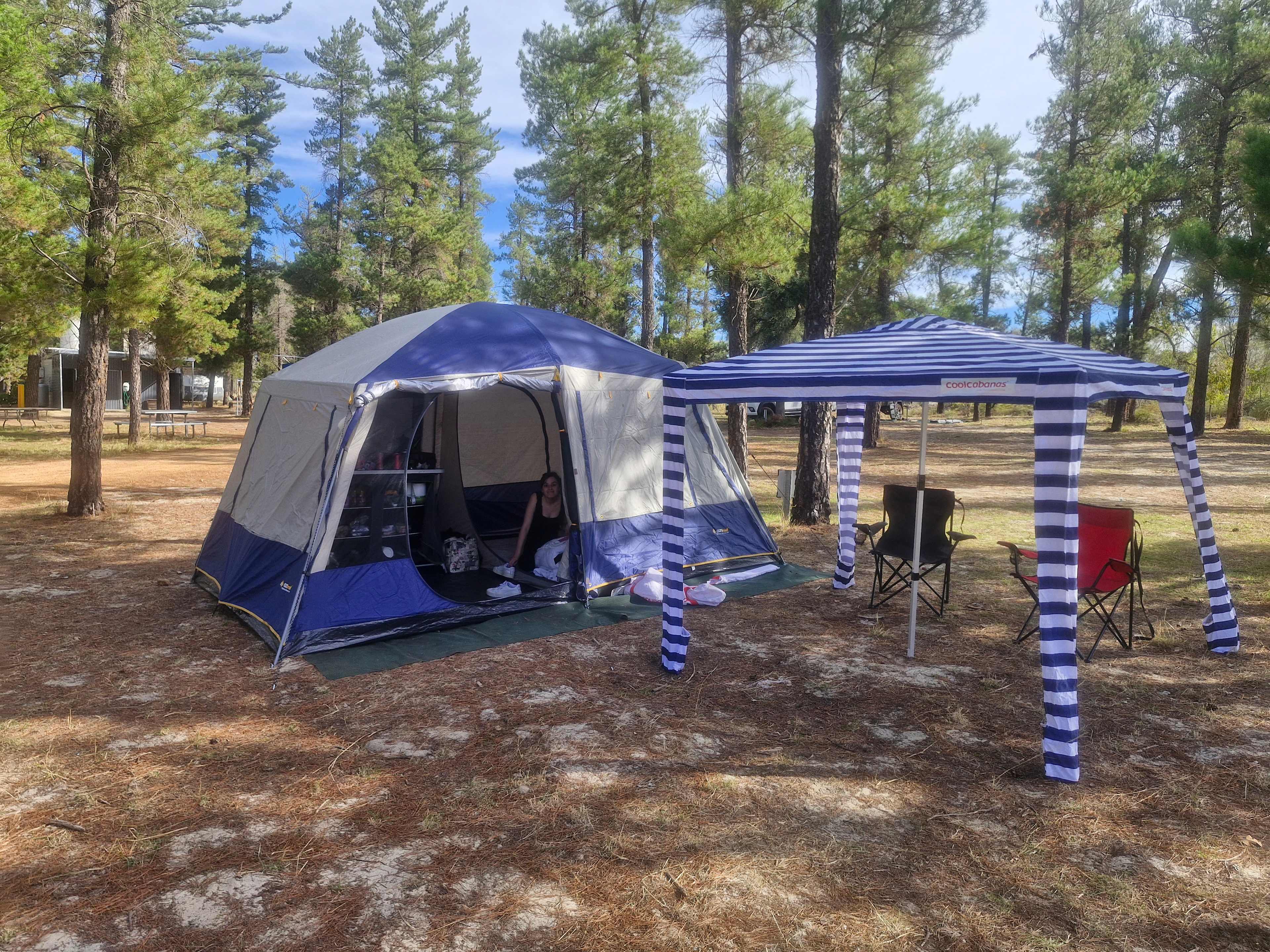 Little Eeden Farm Pine Camp