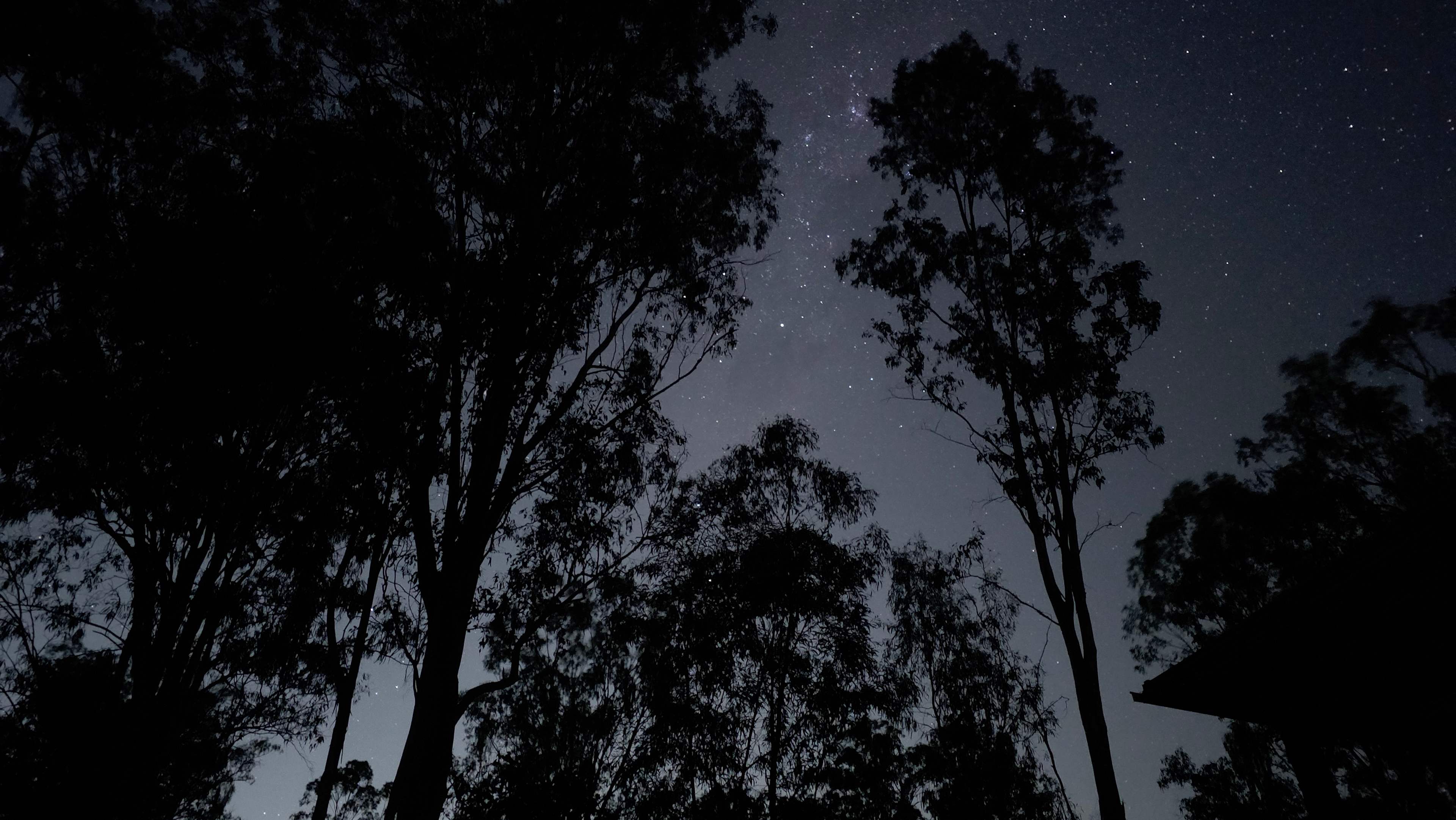Sandy Creek Camping