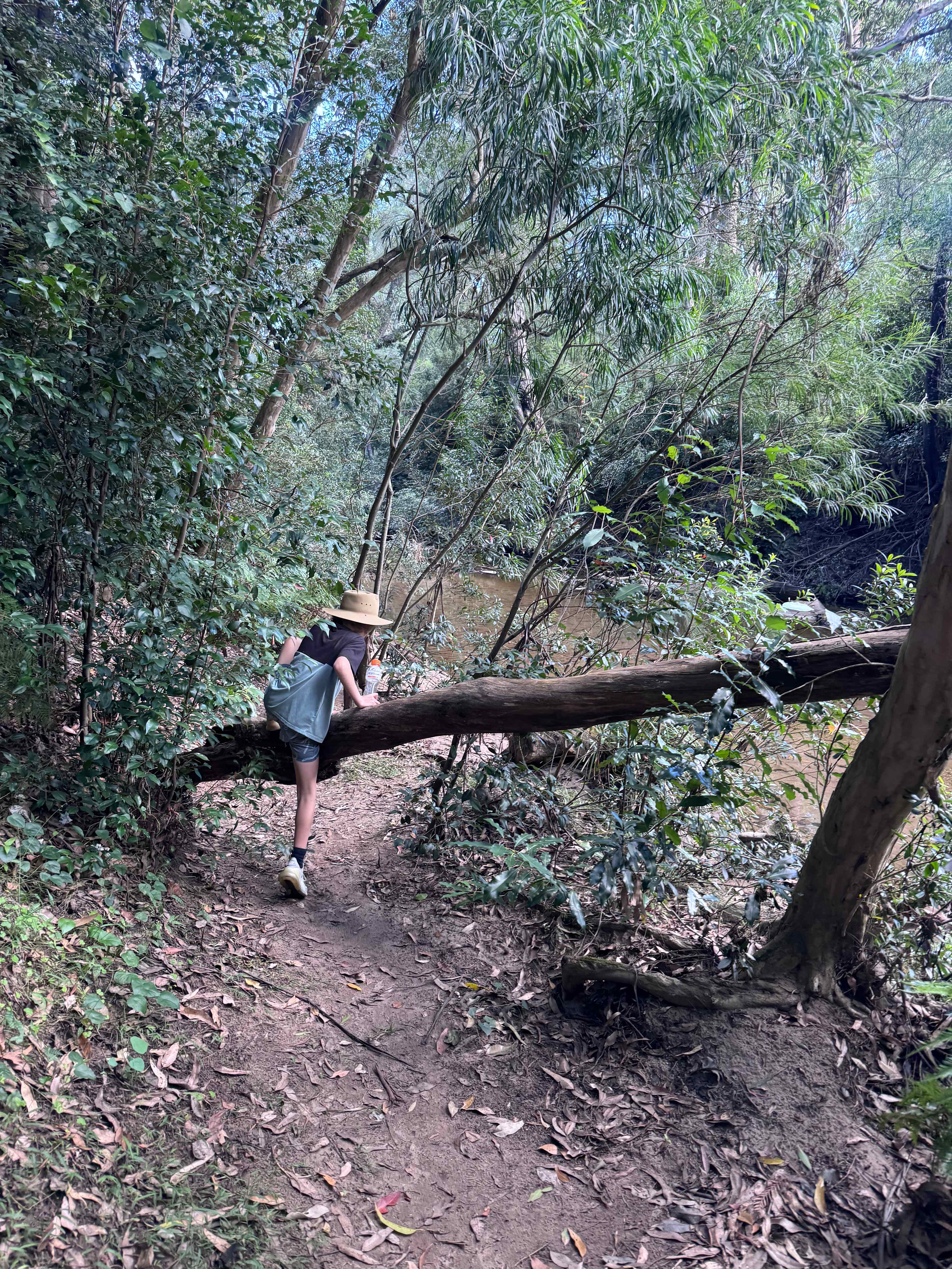 Kookaburra – Peaceful Bush Escape